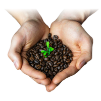 Fair Trade Certified