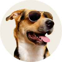 Pet & Outdoor