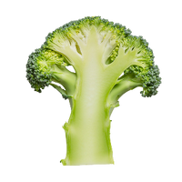 Vegan