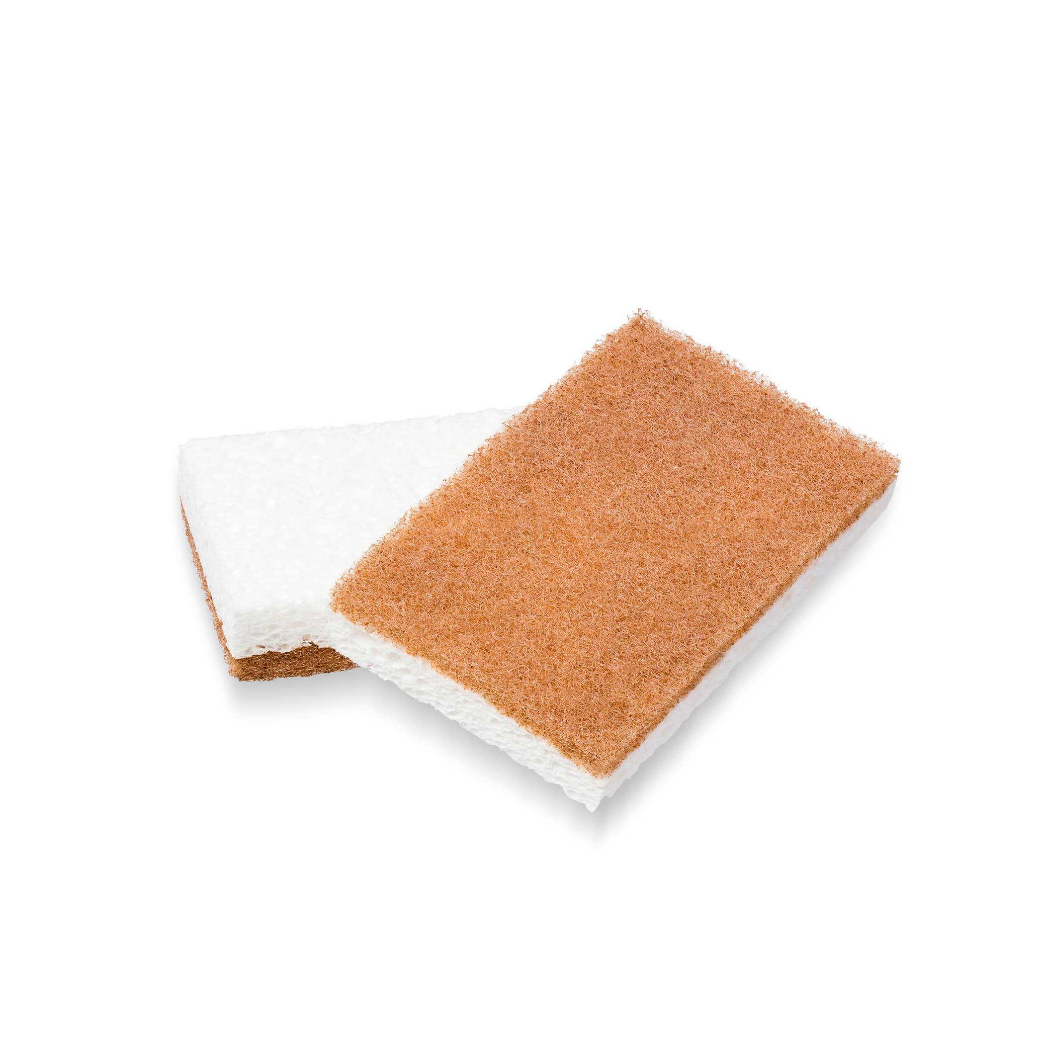In A Nutshell Scrubber Sponge (2pk)