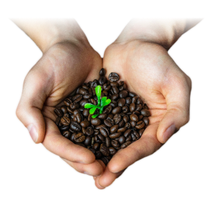 Fair Trade Certified
