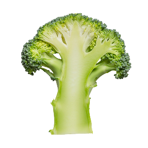 Vegan