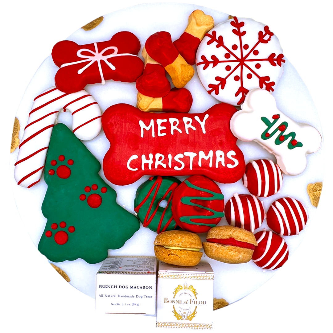Christmas Themed Dog Treats Gift Box
