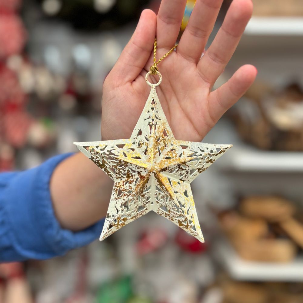 Iron Star Ornament
