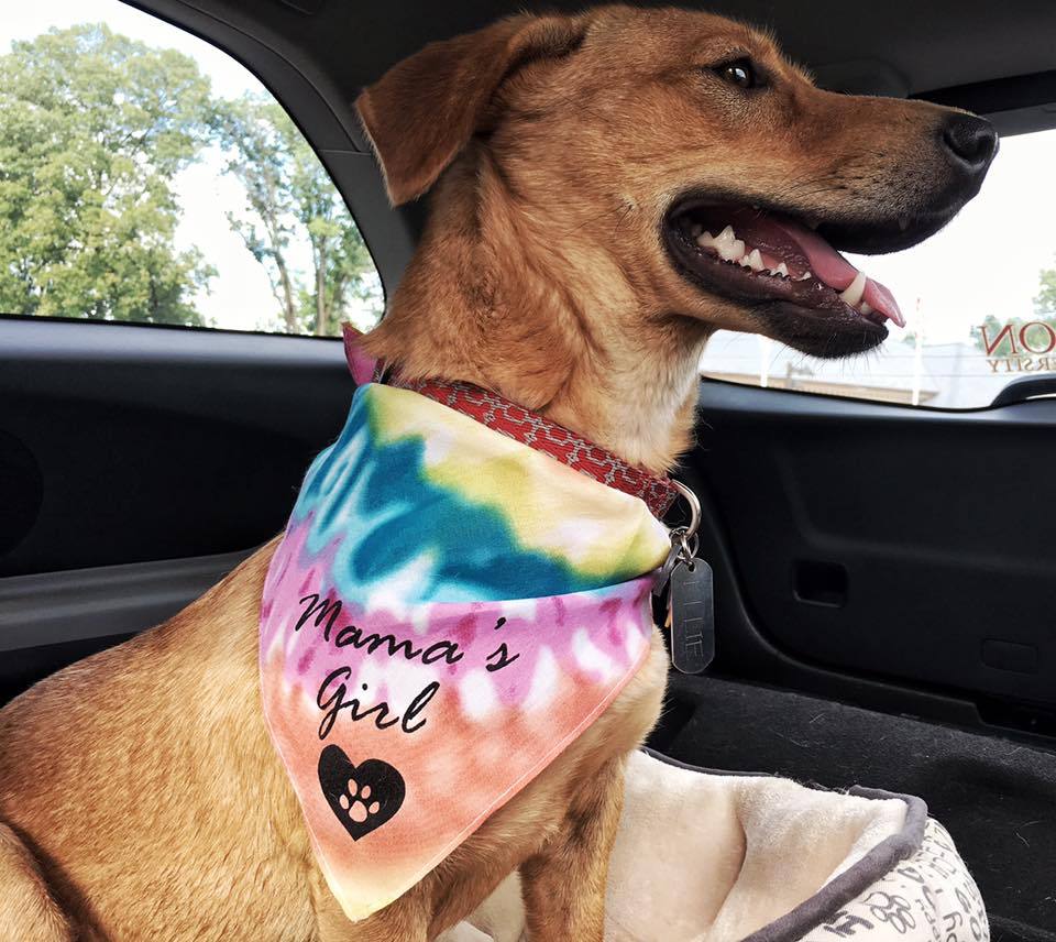 Mama's Girl Bandana