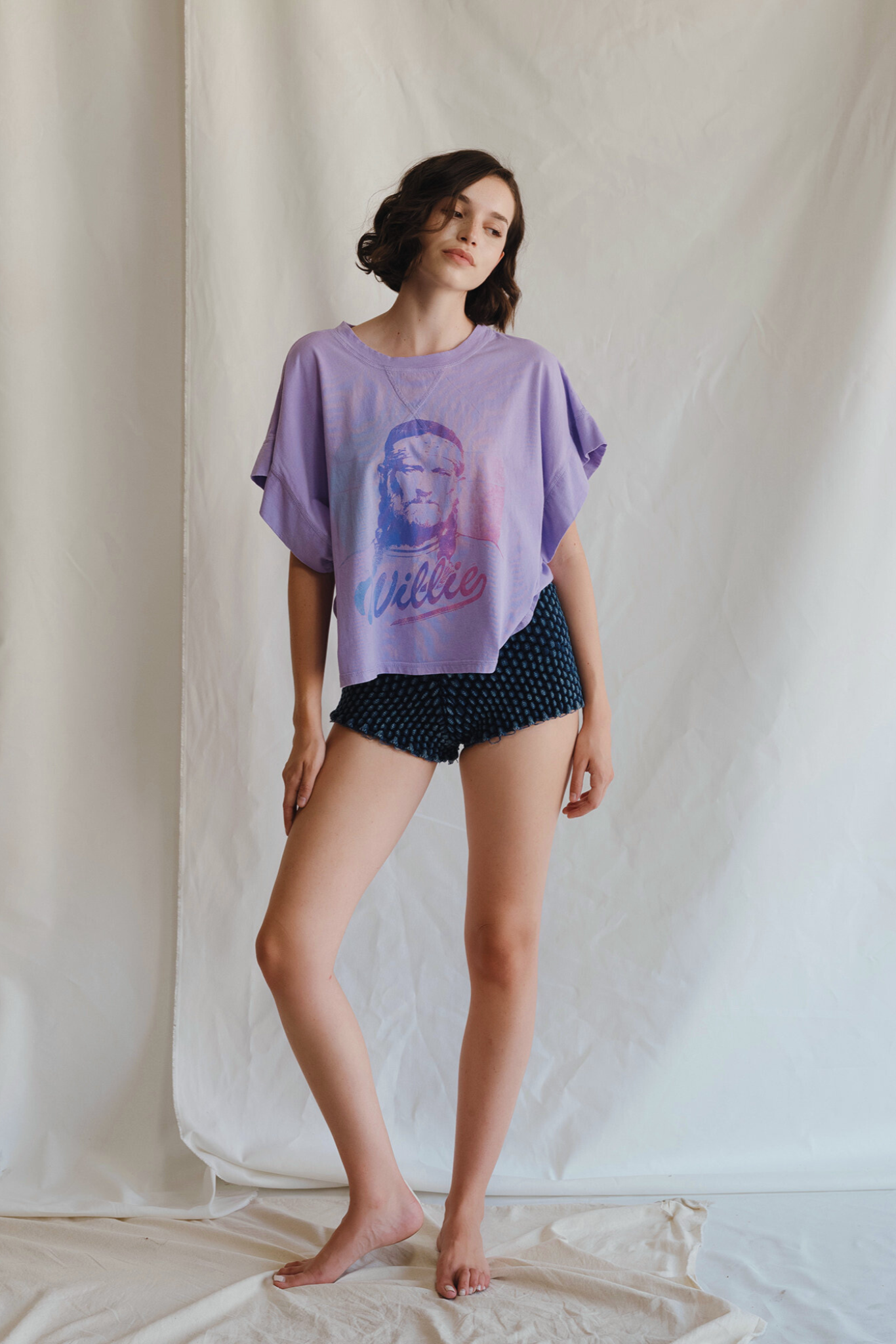 Willie Nelson Purple Sky