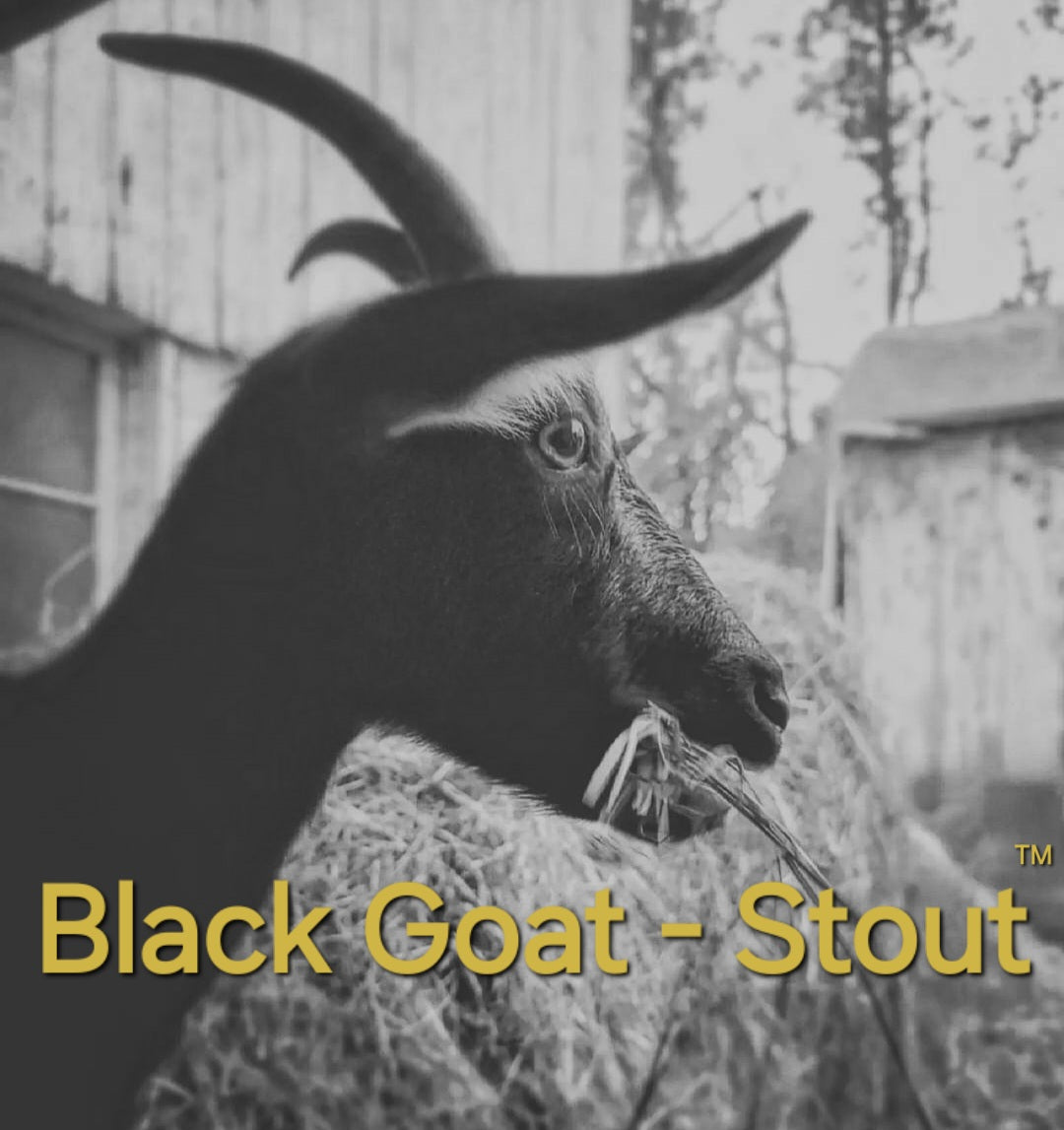 Black Goat - Stout™️ - Unscented Goat Milk Soap with Activated Charcoal & Irish Stout Beer