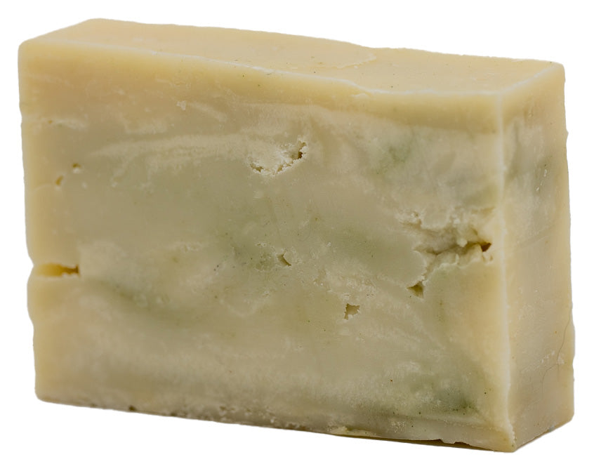 Sun & Shade Conditioning Shampoo