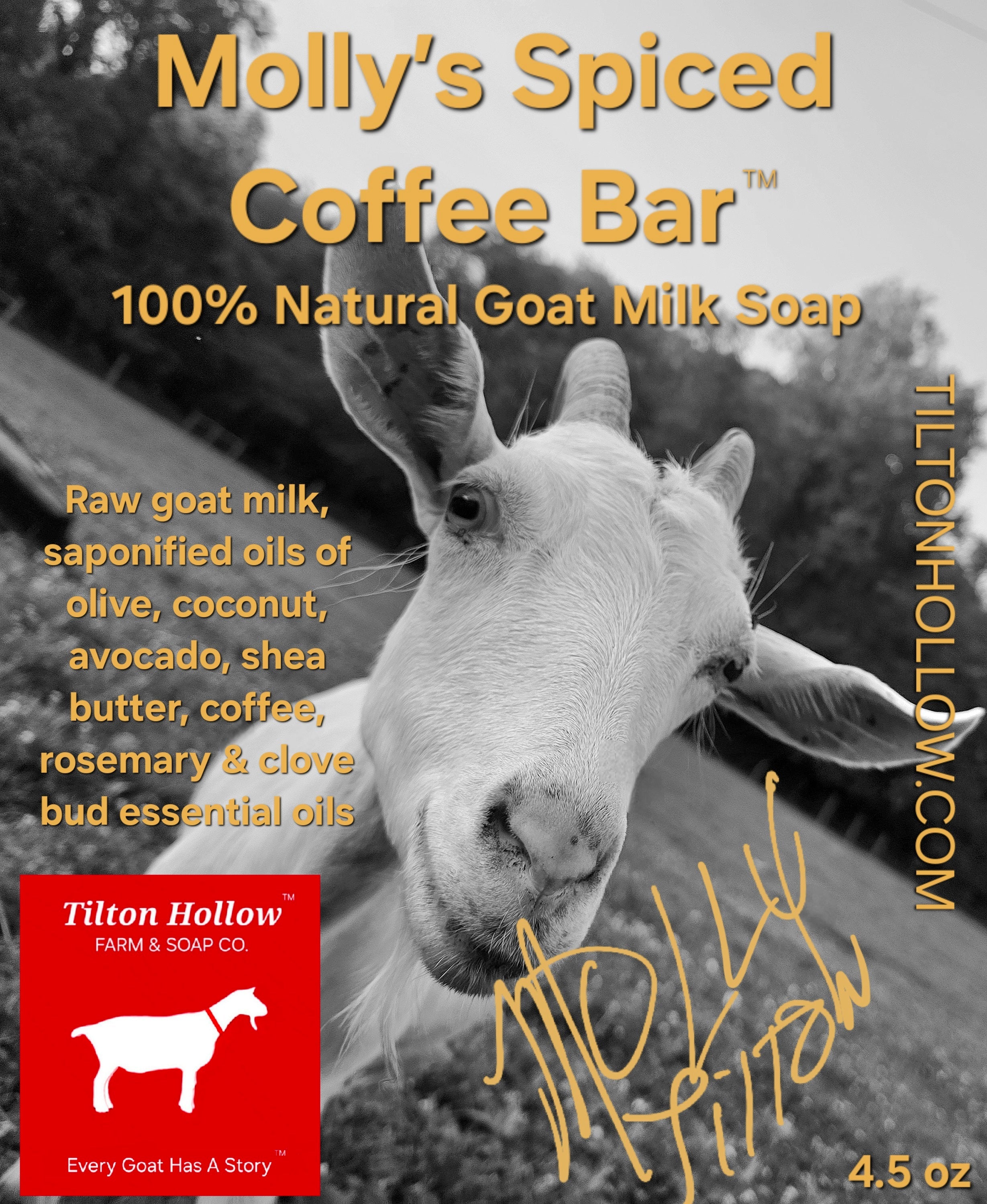 Molly's Spiced Coffee Bar™️