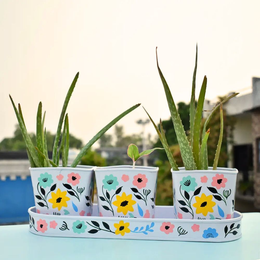 In Bloom 3-Piece Metal Pot Planter with Tray