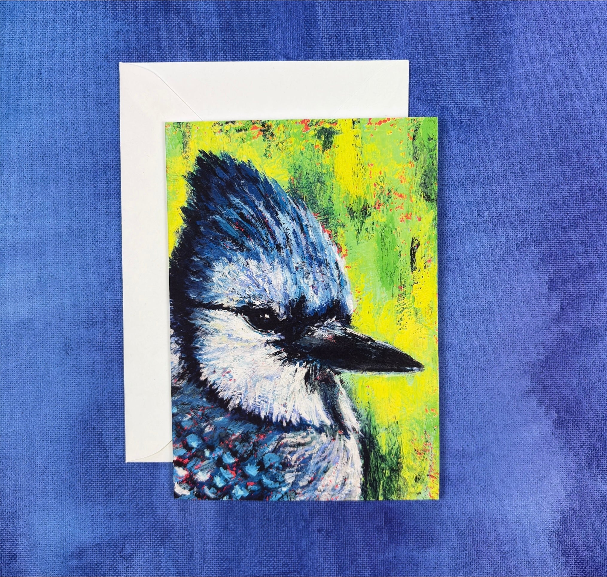 Bluejay’s Gaze  - Greeting Card