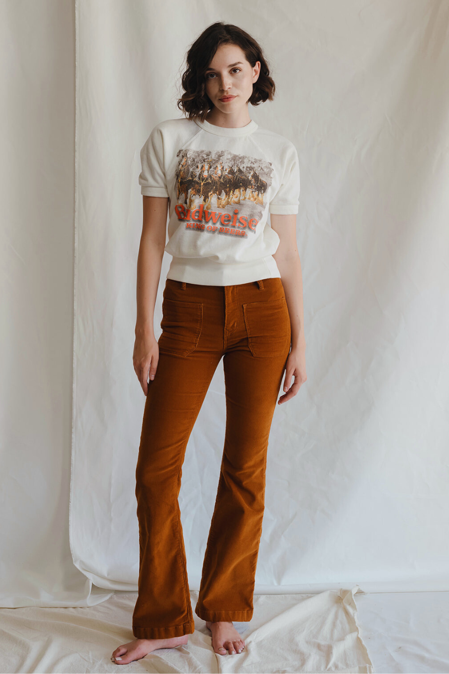 Budweiser Clydesdale Raglan