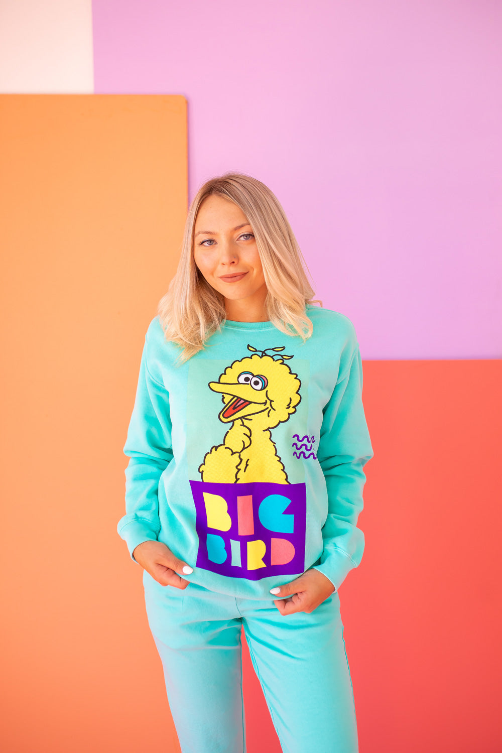 Sesame Street Big Bird Sweatshirt