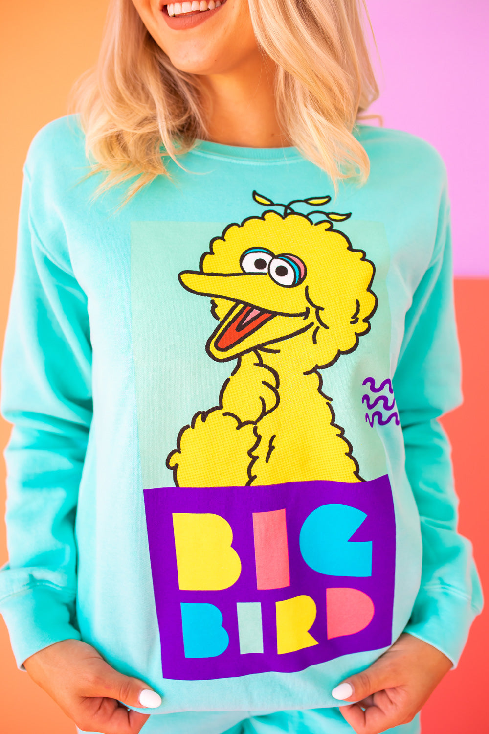 Sesame Street Big Bird Sweatshirt