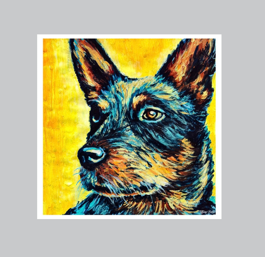 Starry Eyed Heeler - Fine Art Print -  8” x 8”