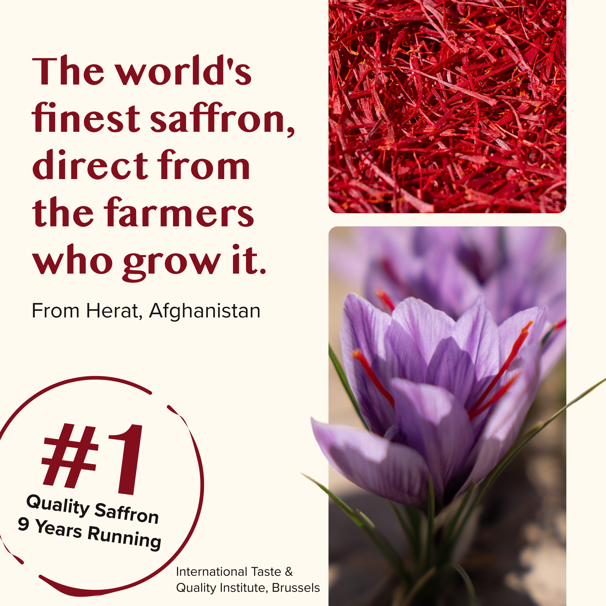 Premium Saffron Extract (Made With Pure Saffron Threads) Liquid Drops Tincture/Alcohol-Free