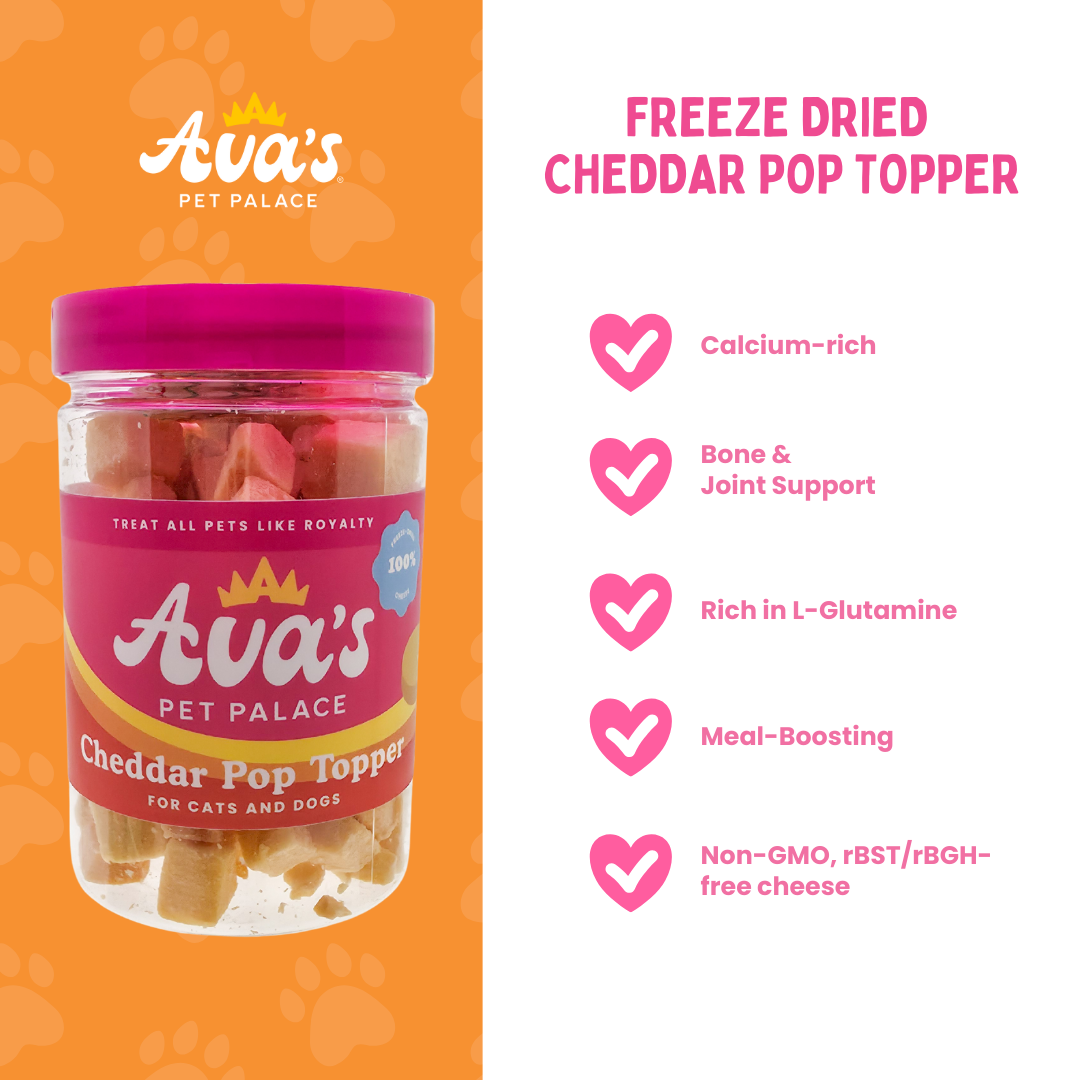 Freeze Dried Cheddar Pop Topper