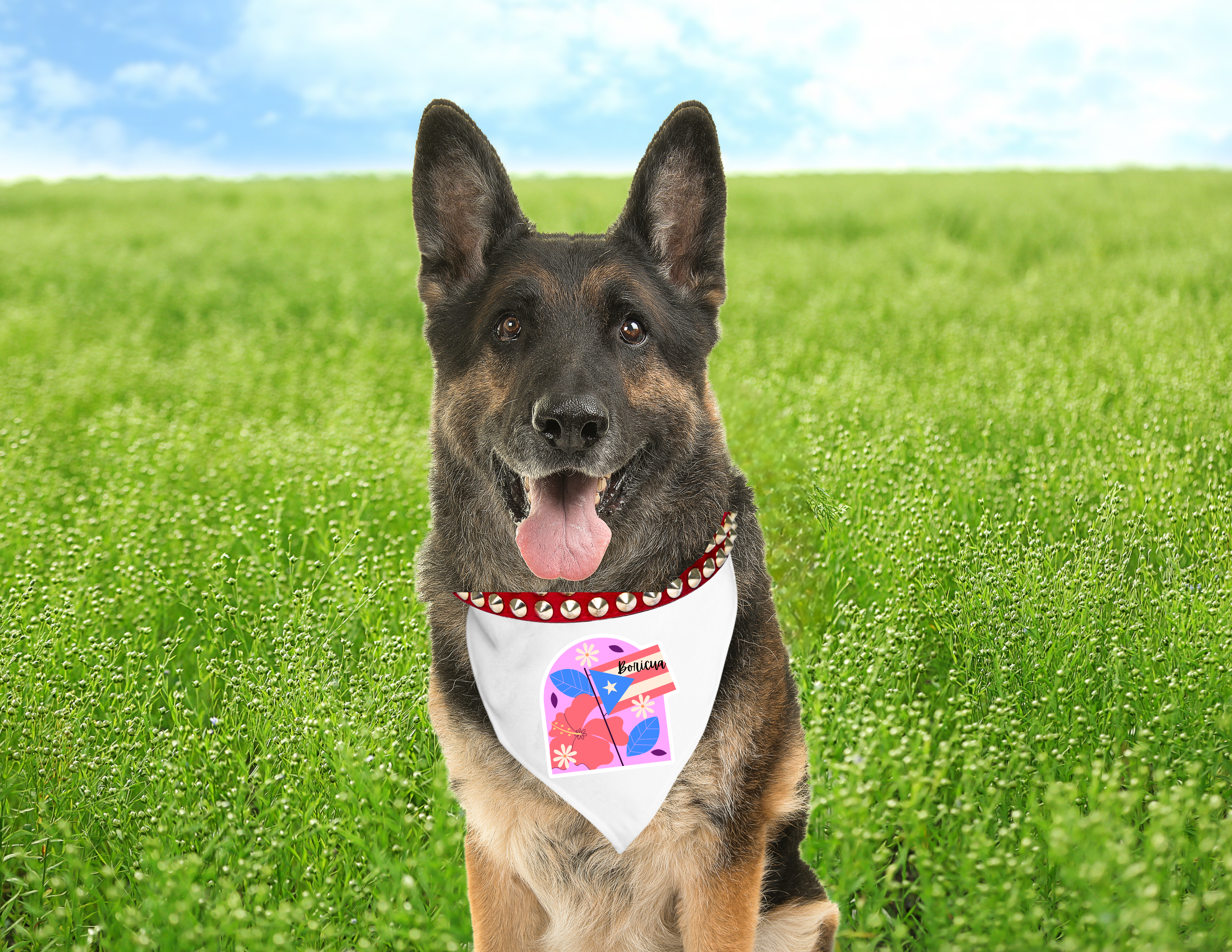 Dog bandana: S M L Hispanic Heritage Boricua Puerto Rico