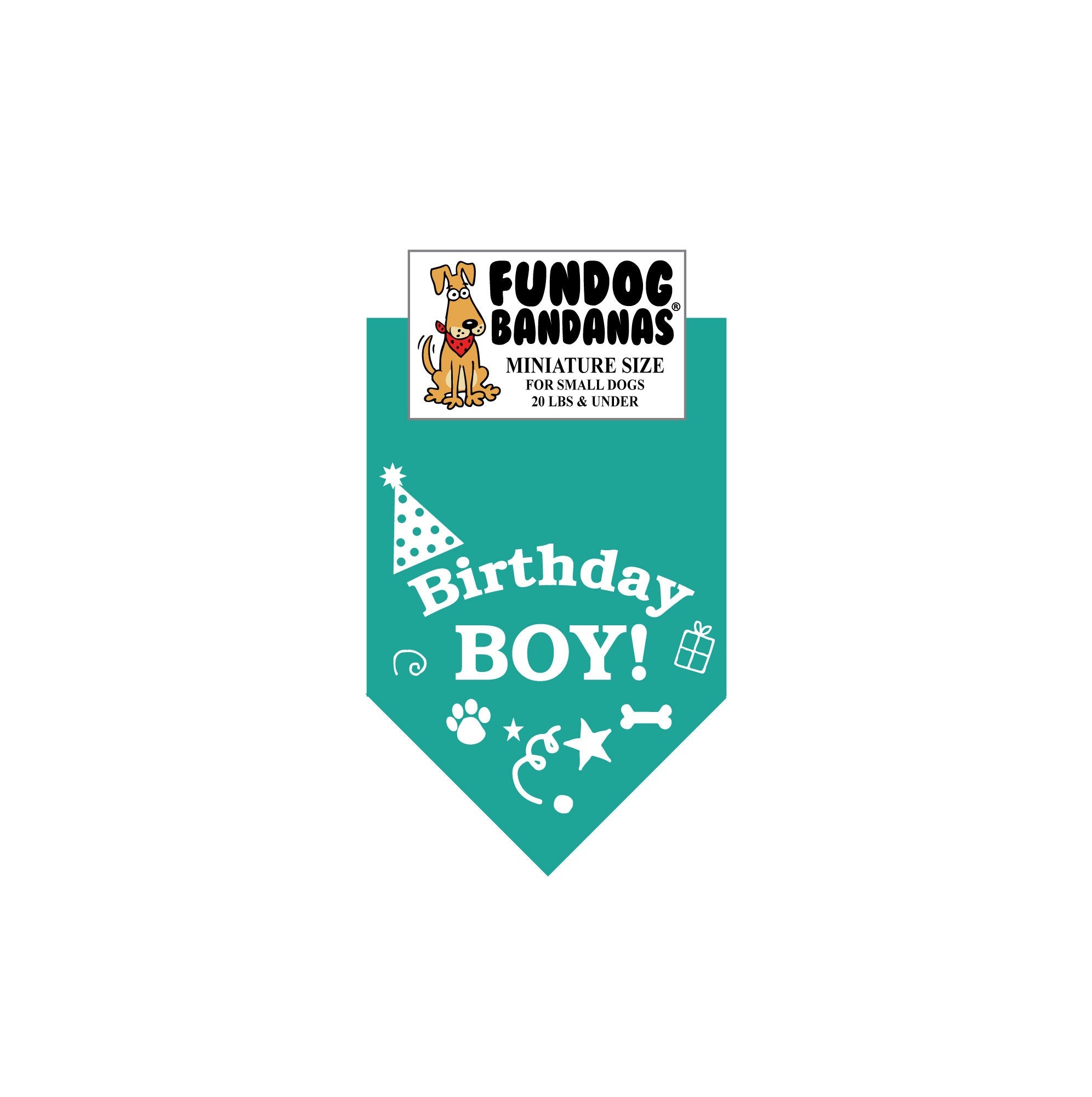 Birthday Boy Bandana