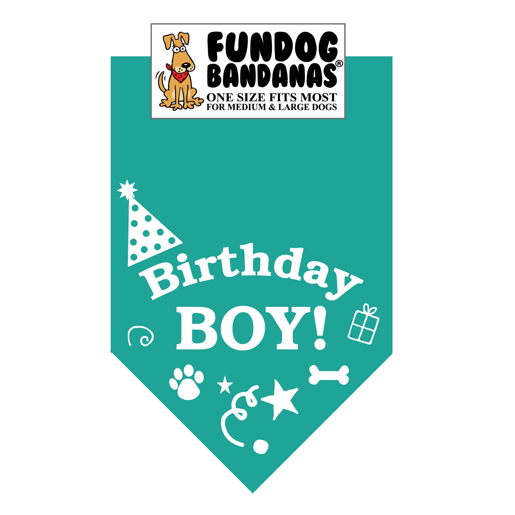 Birthday Boy Bandana