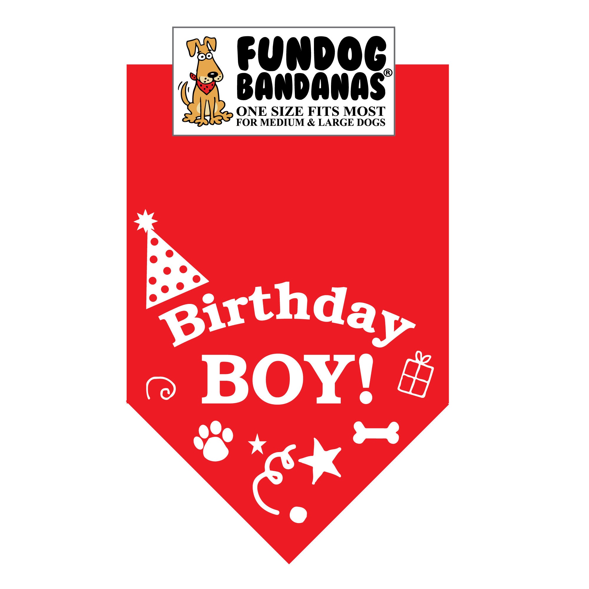 Birthday Boy Bandana