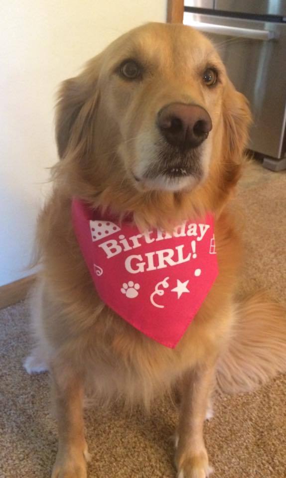 Birthday Girl Bandana