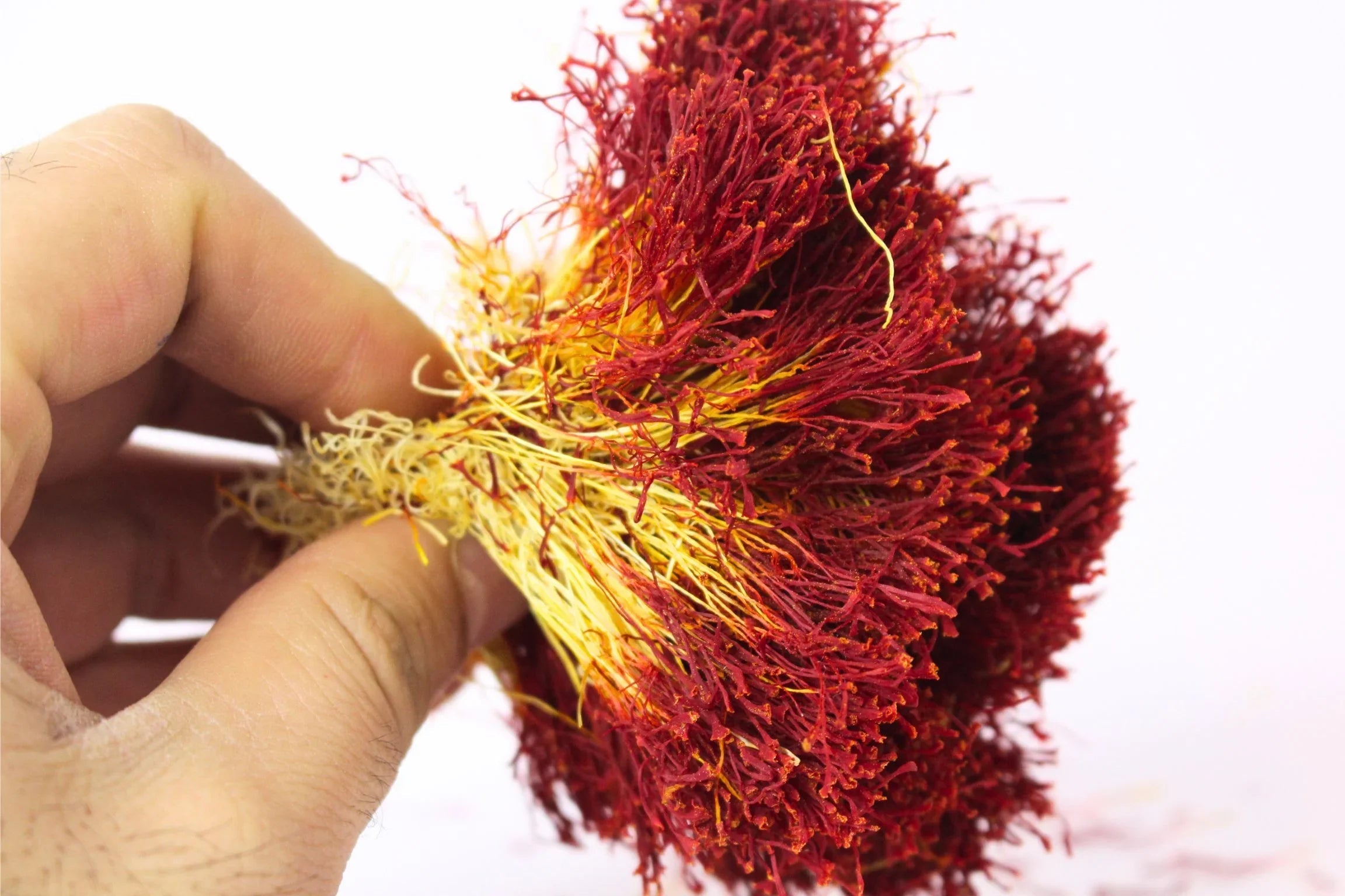 Dokhtar Pitch (Dastah) Afghani Bunch Saffron, 10 Grams
