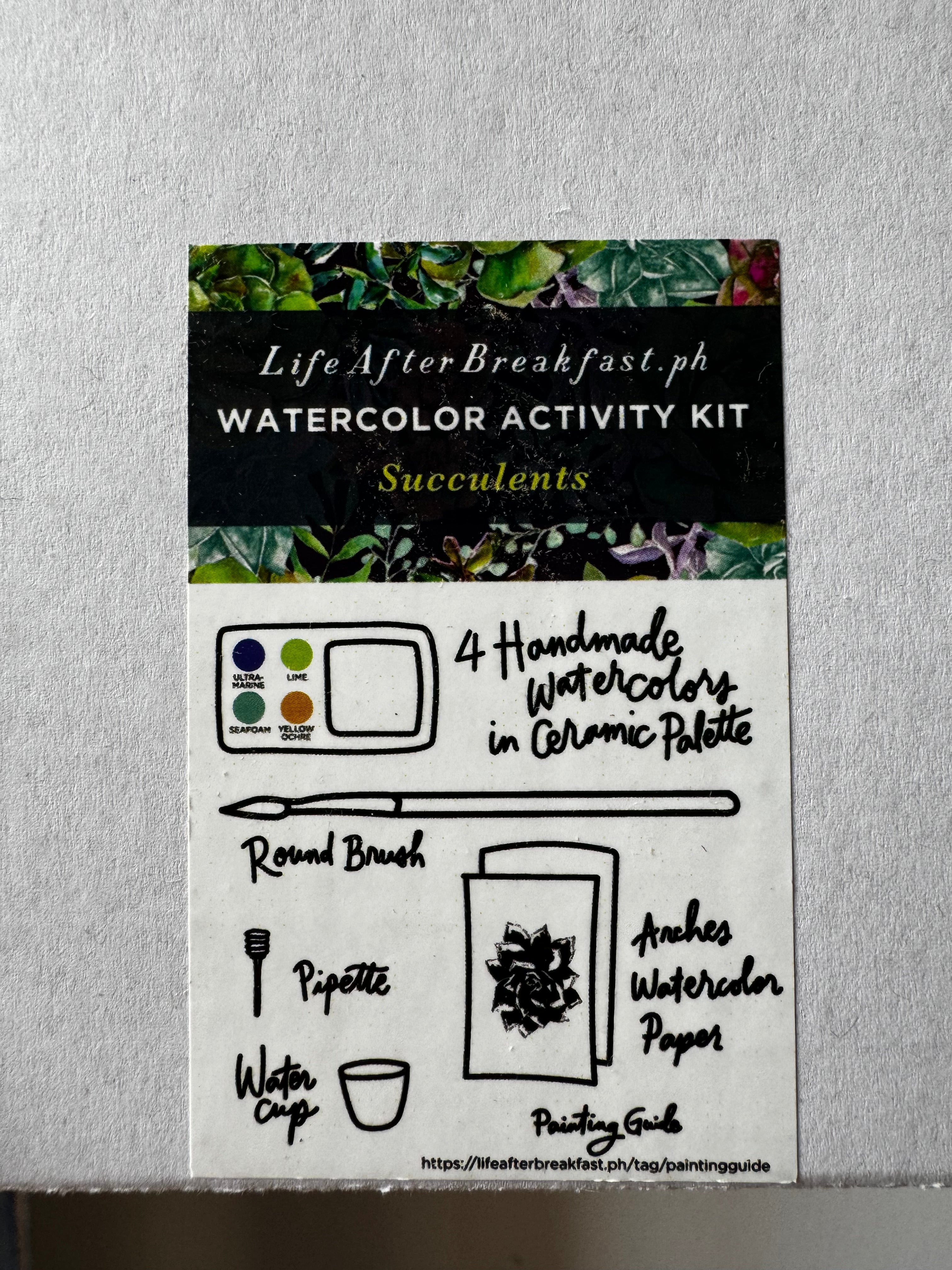 Succulents Activity Watercolor Kit