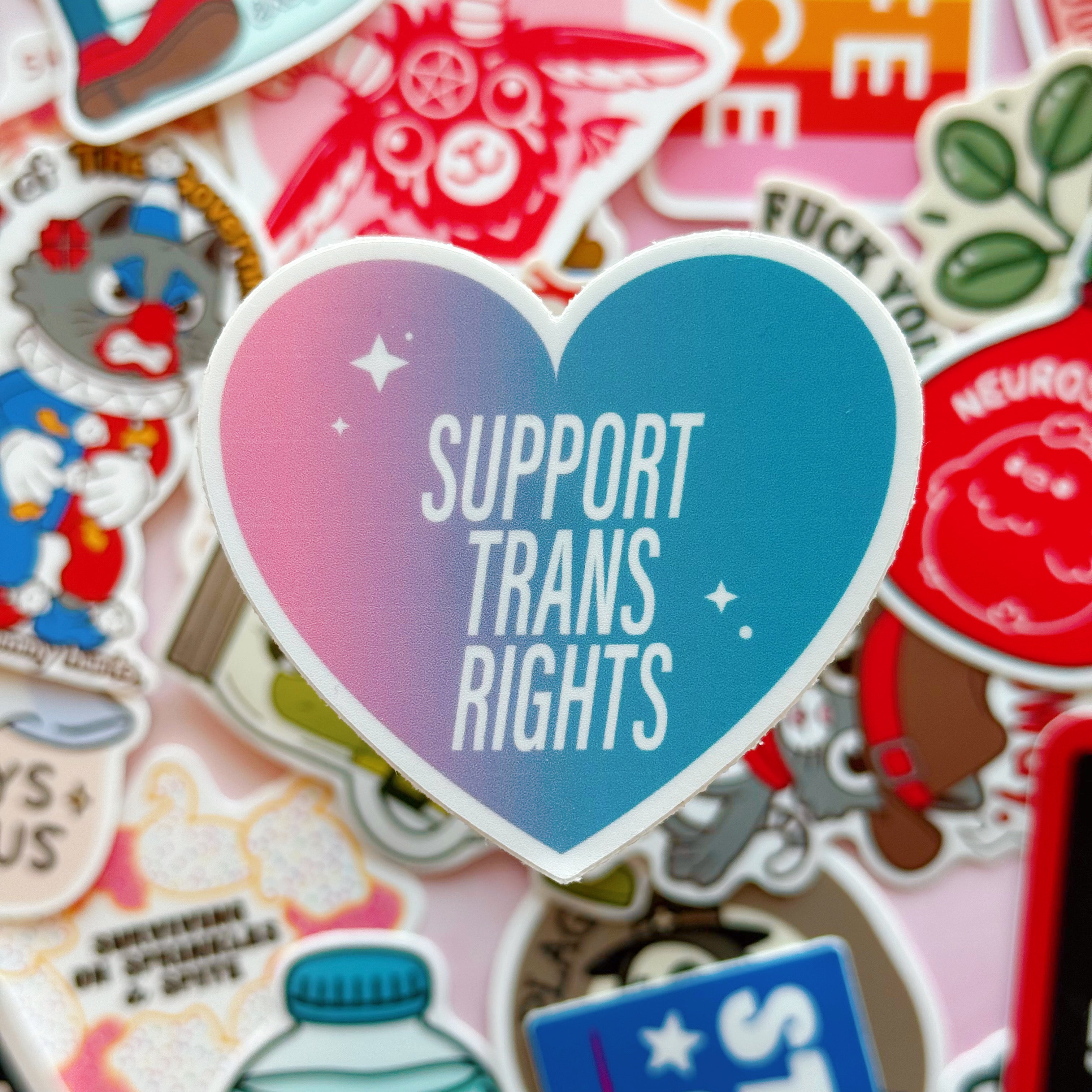 Support Trans Rights Vinyl Sticker