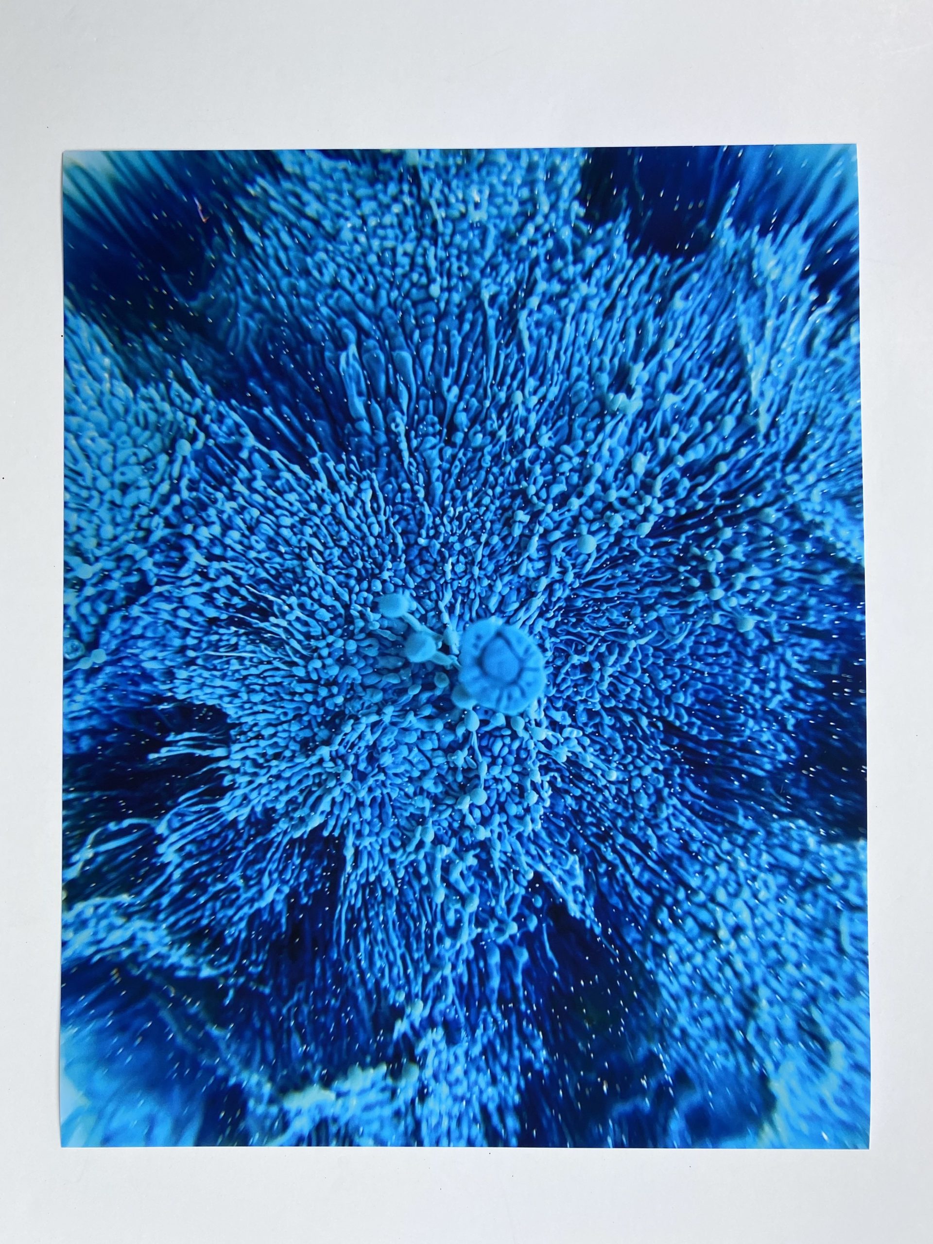 Bespattered Facade 8" x 10" Resin Petri Giclee Print #2