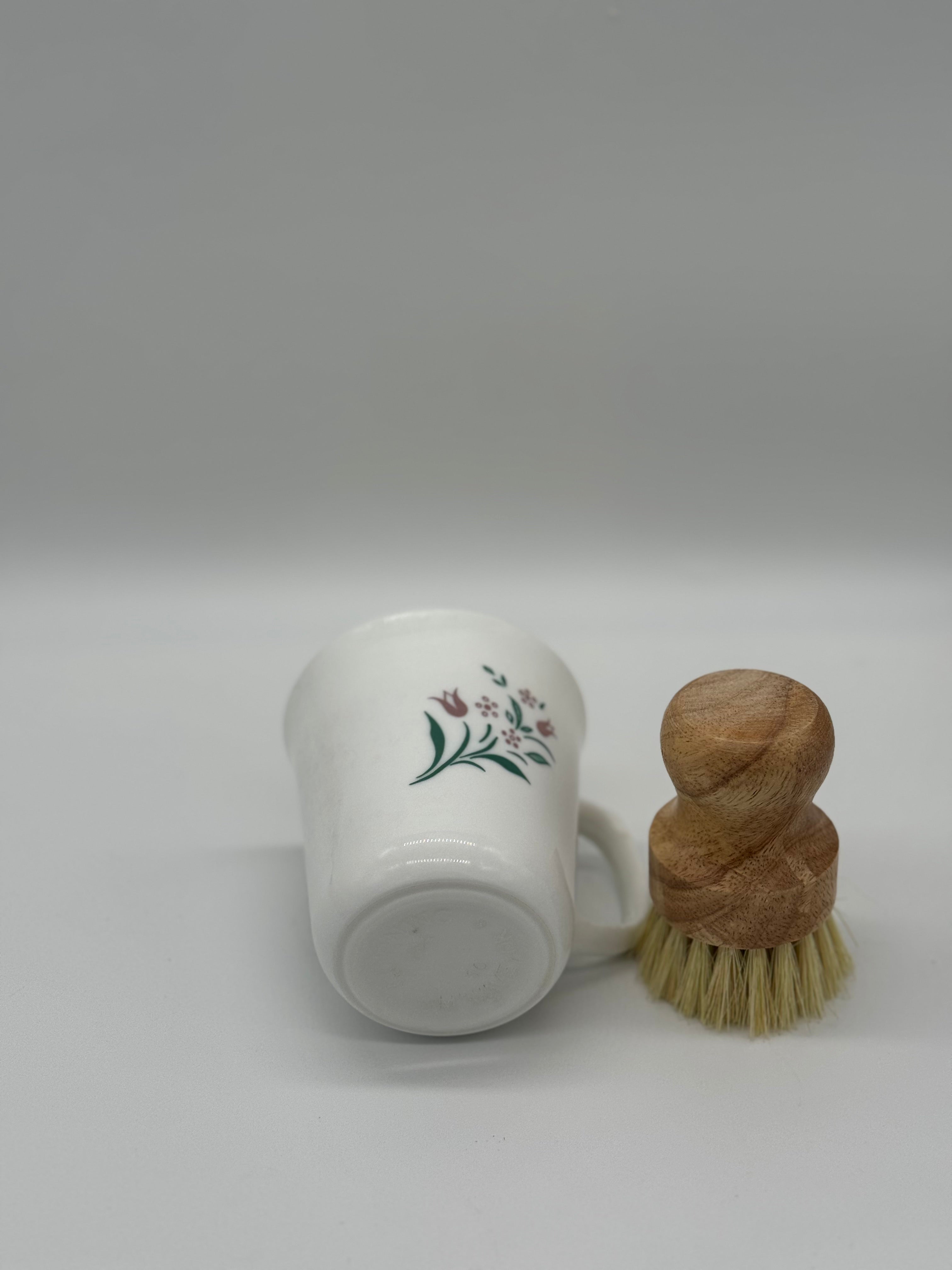 Fruit & Floral Collection - Solid Dish Soap Upcycled Container Sets