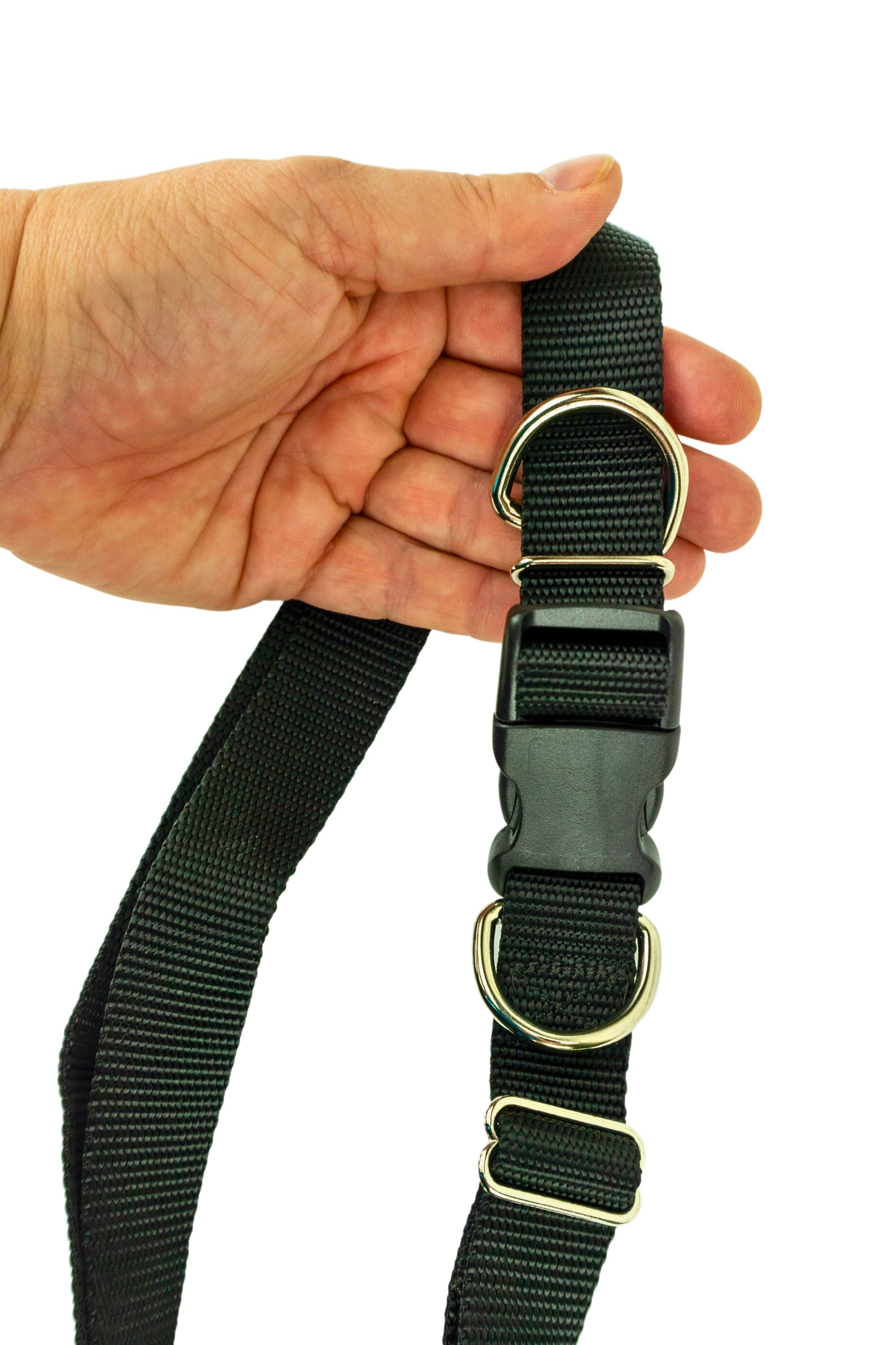 Light Weight Hands Free Leash Belt
