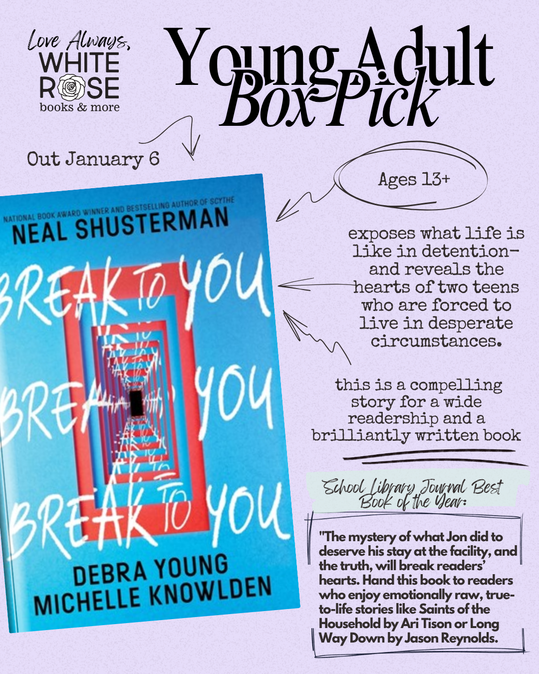 Young Adult Book Subscription Box: January Selection: Break to You by Neal Schusterman, Debra Young, Michelle Knowlden