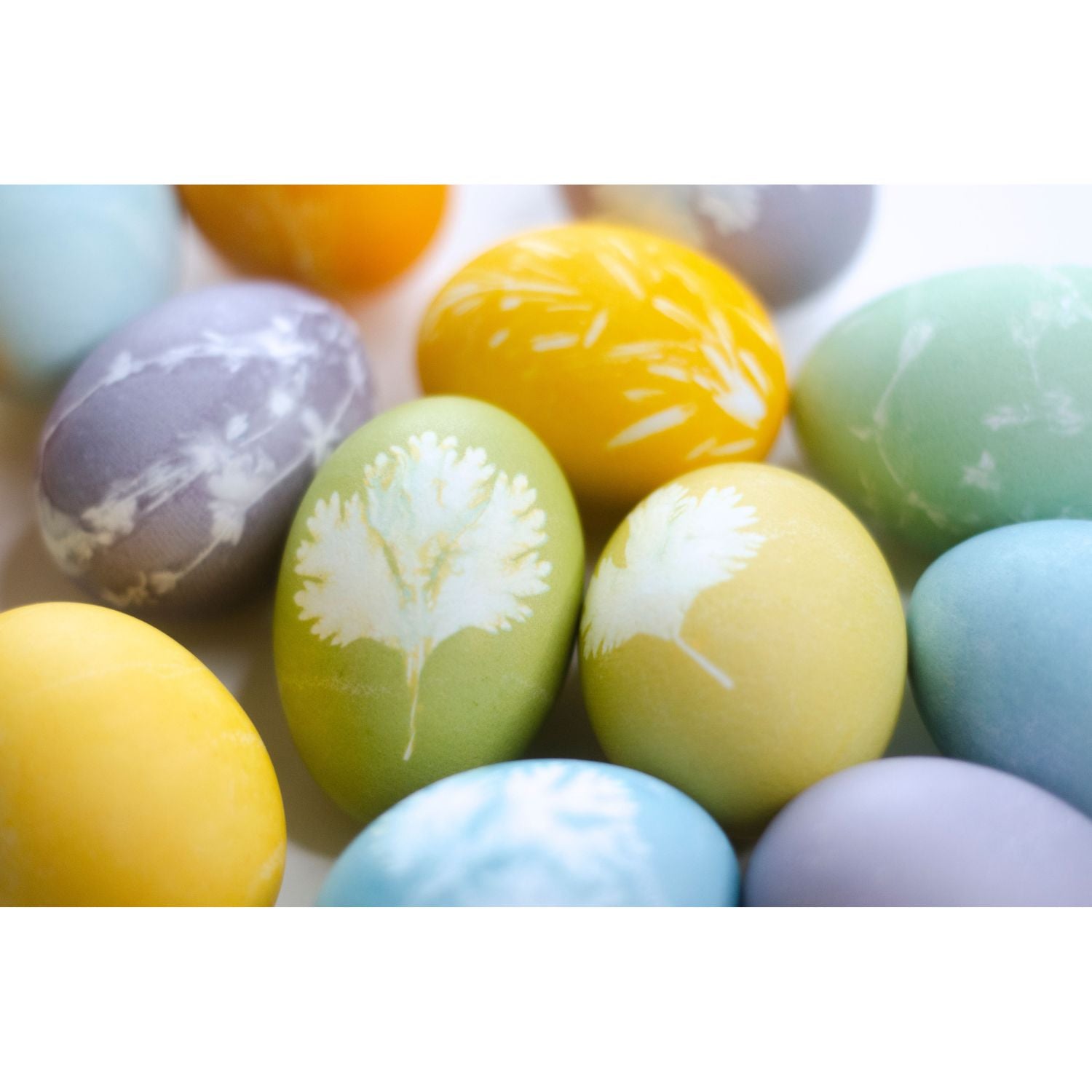 Natural Easter Egg Paint & Dye Set