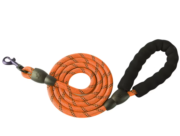 Leash: Reflective Nylon Dog Leash | 5ft | Comfort Handle | 8 Colors