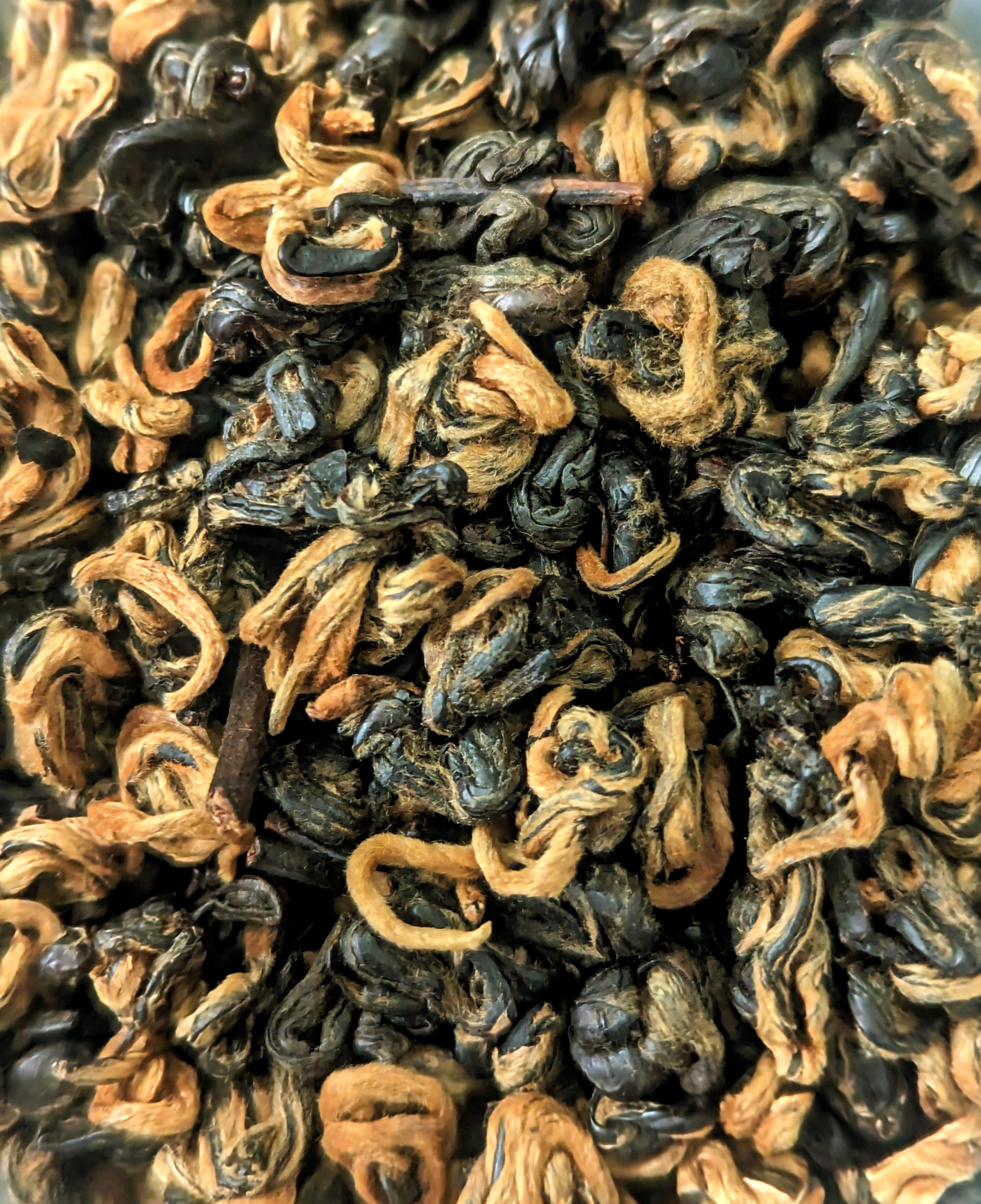 Black Gold - Bi Luo Chun
