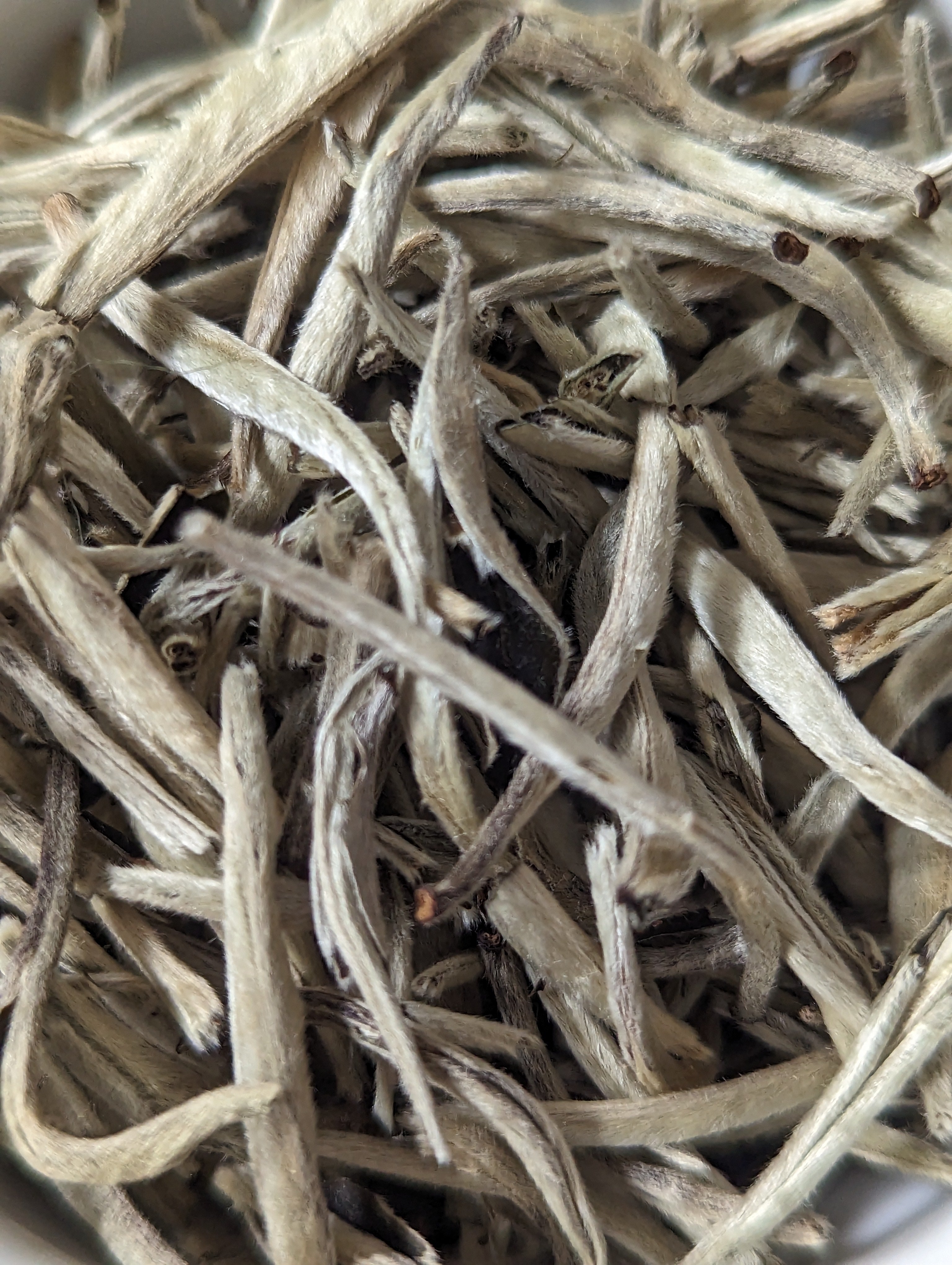 Imperial Silver Needle