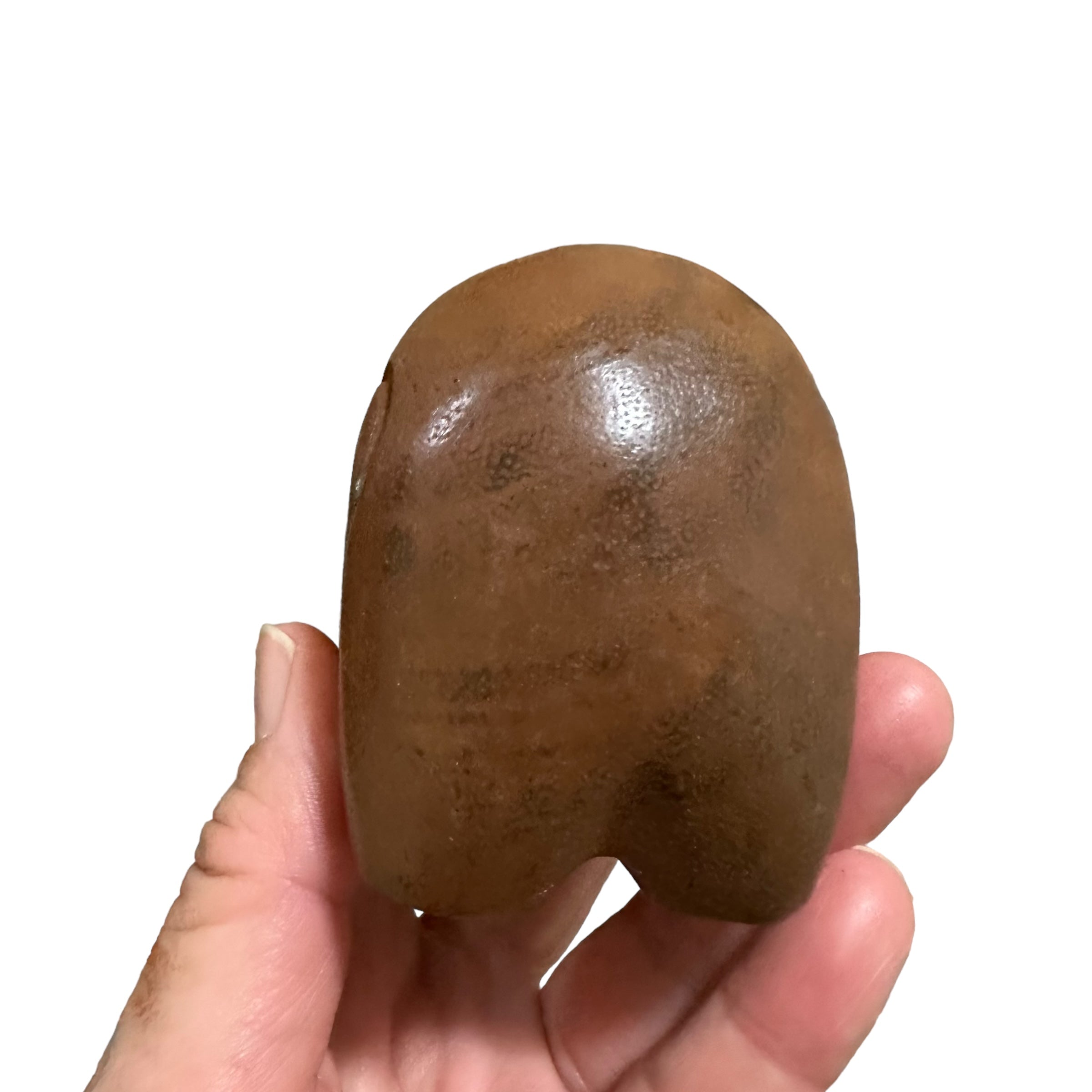 Dark Oak Lucky Elephant