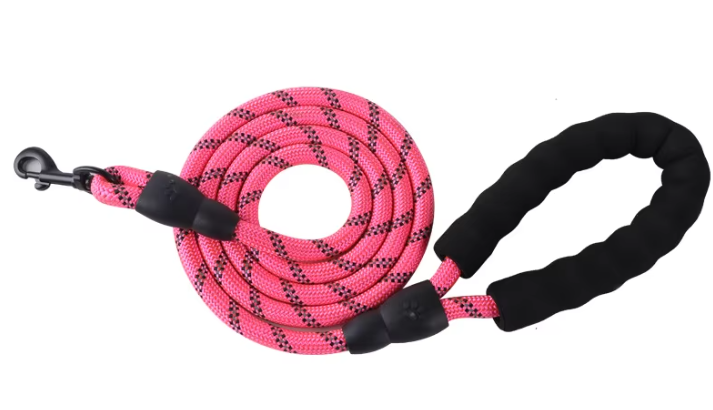 Leash: Reflective Nylon Dog Leash | 5ft | Comfort Handle | 8 Colors