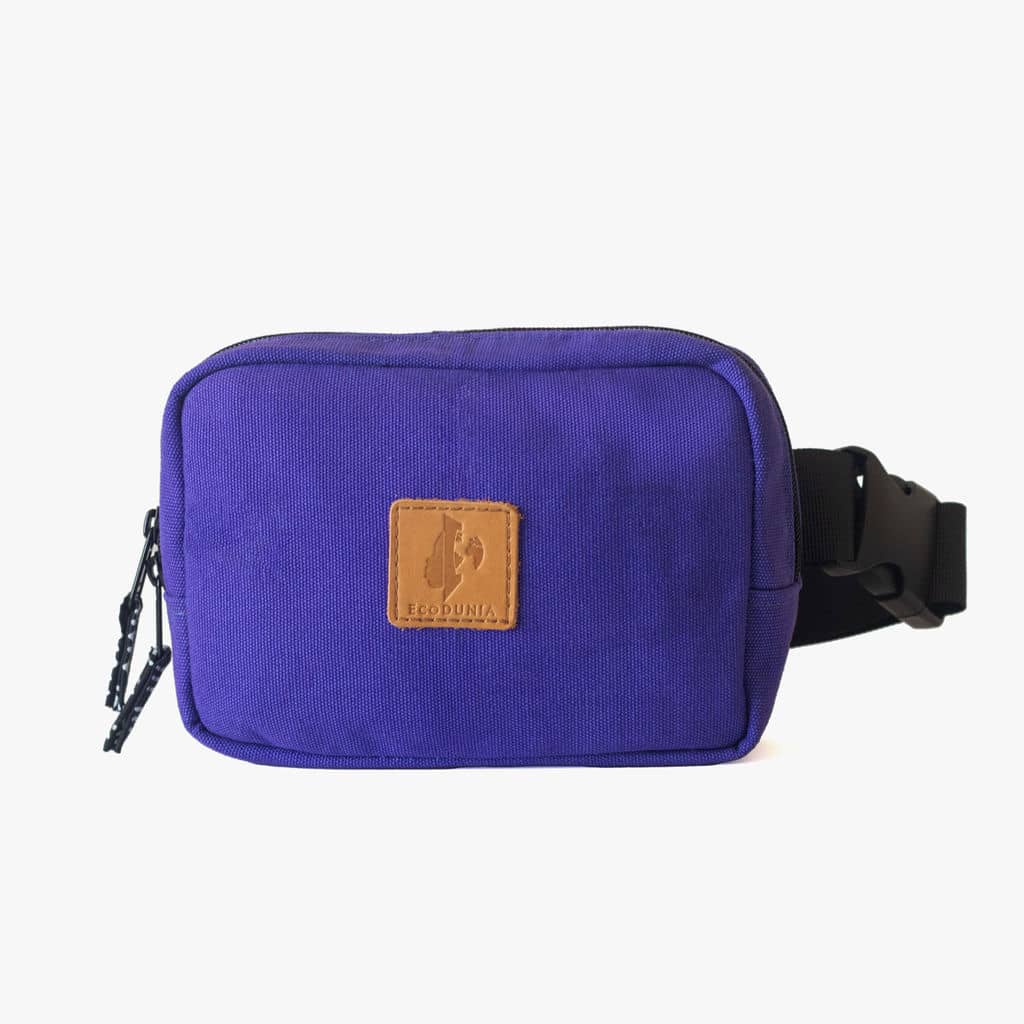 Canvas Crossbody Belt Bag Pouch, The Everywhere Belt Bag 1L