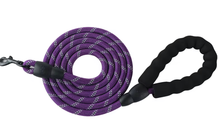Leash: Reflective Nylon Dog Leash | 5ft | Comfort Handle | 8 Colors