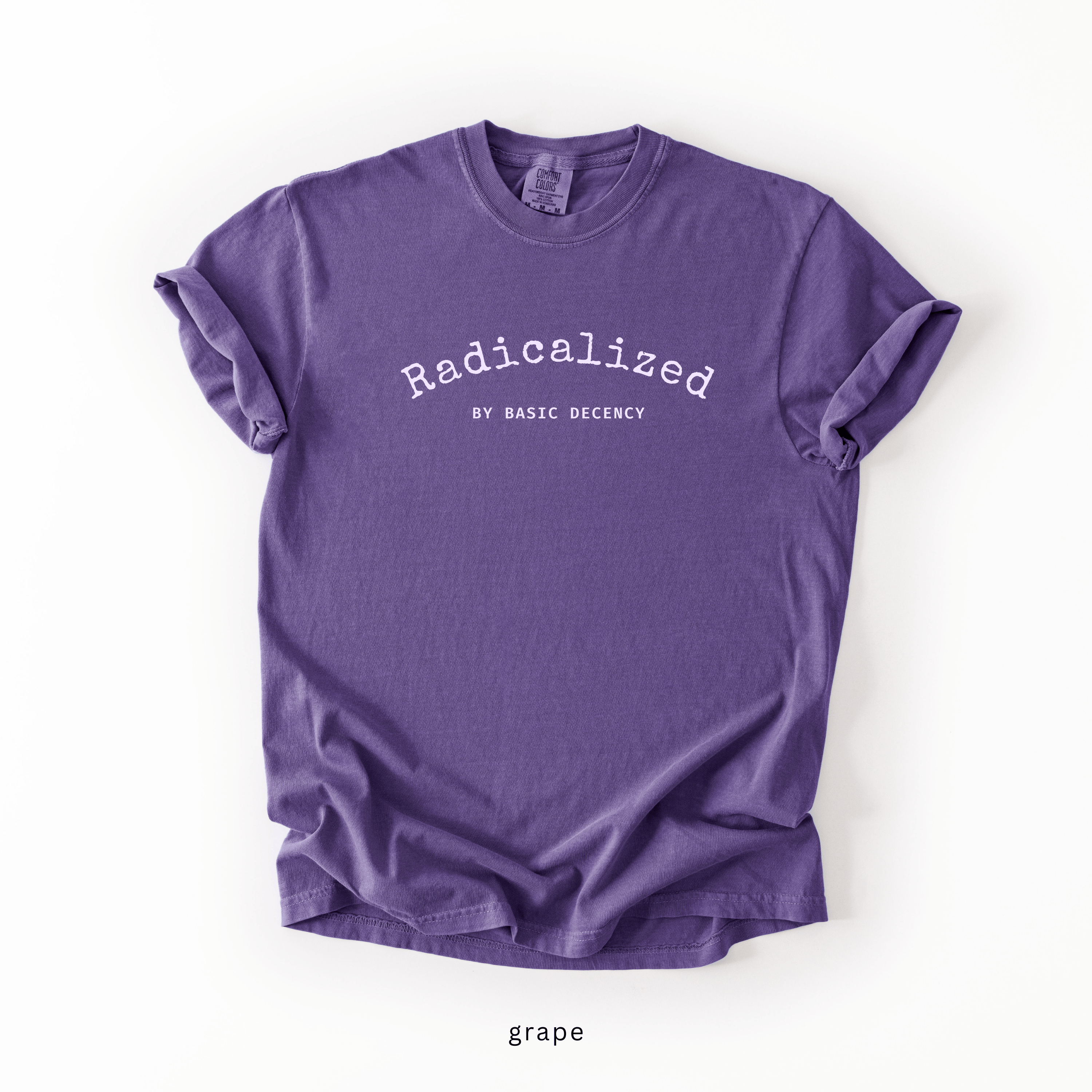 Radicalized by Basic Decency Shirt