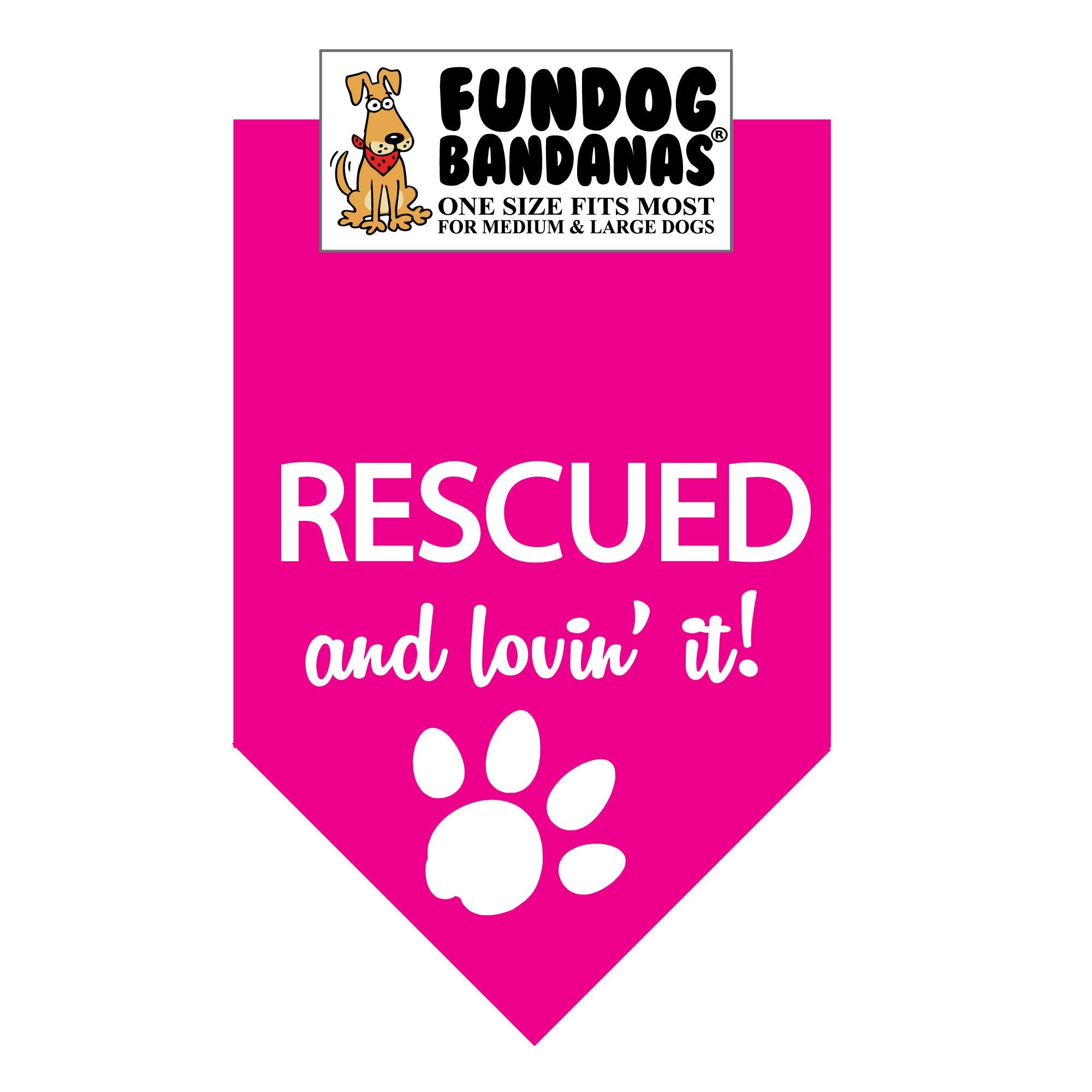 RESCUED and lovin' it! Bandana