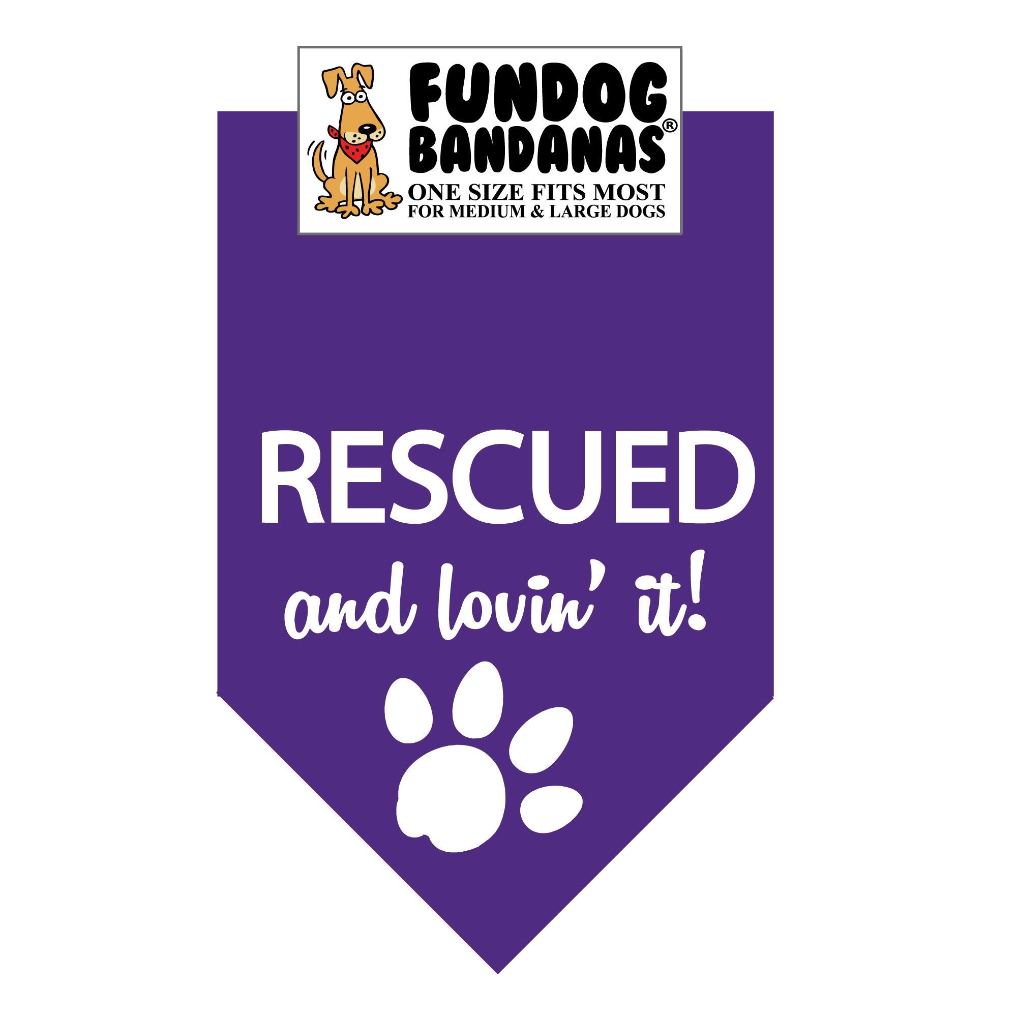 RESCUED and lovin' it! Bandana
