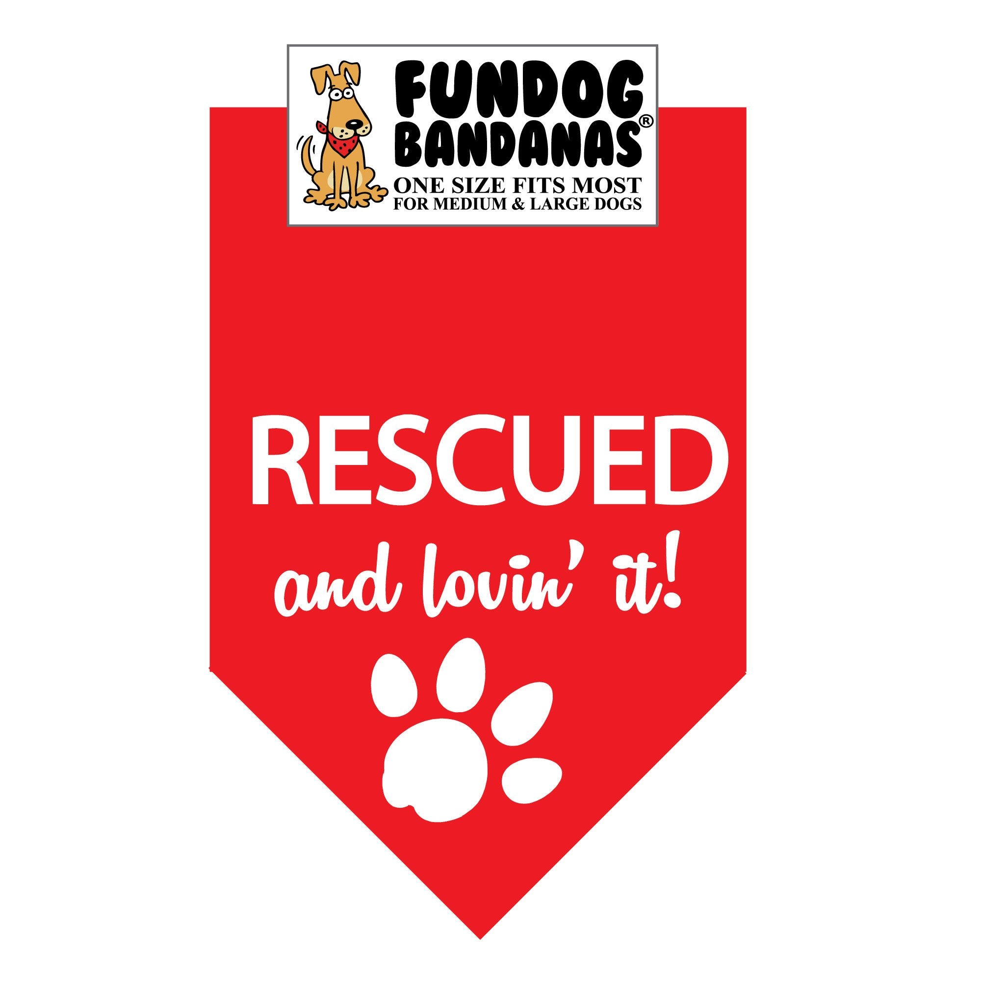 RESCUED and lovin' it! Bandana