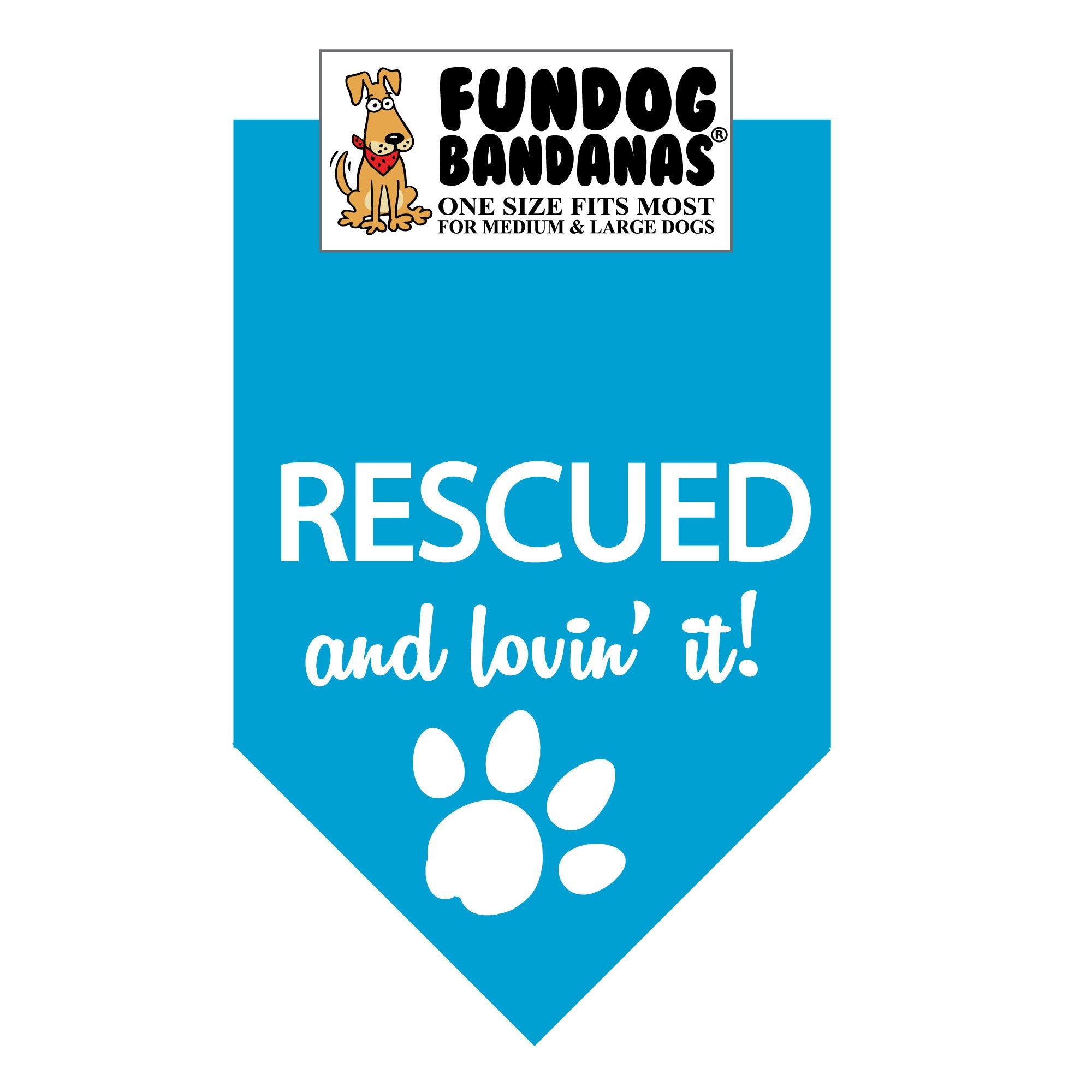 RESCUED and lovin' it! Bandana