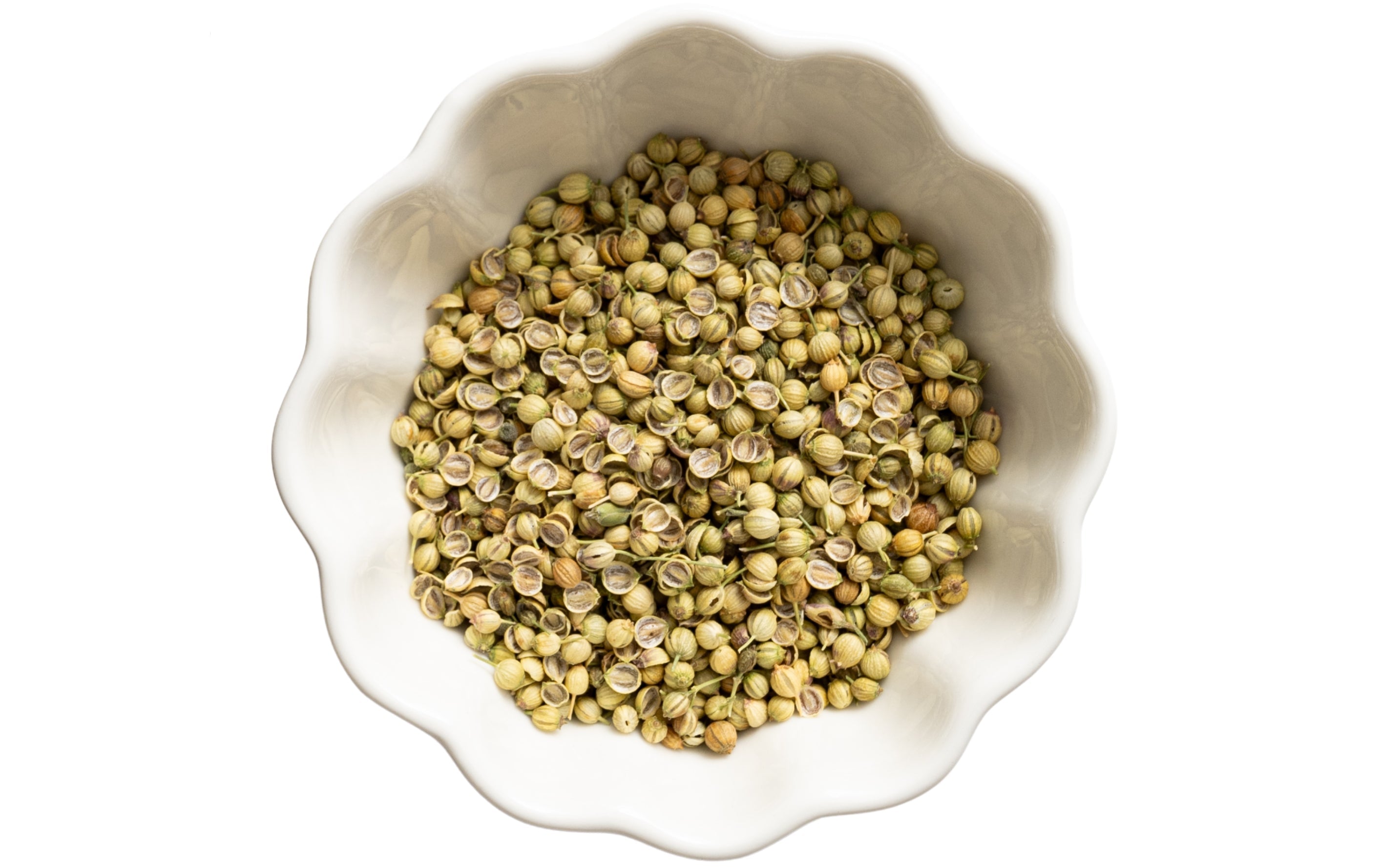 Green Coriander Seeds 1.5 Oz (45 grams)