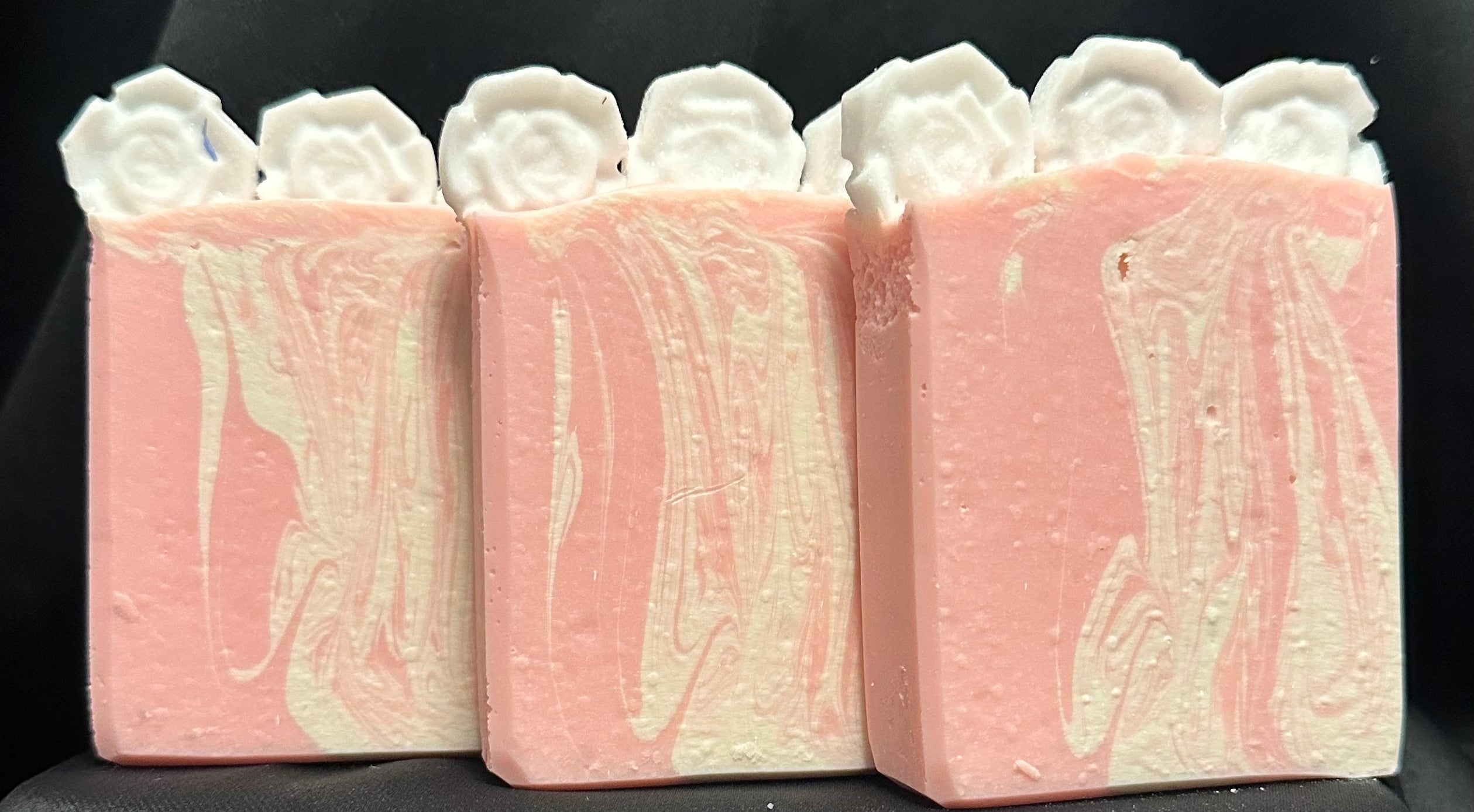 Camellia Flower 💮