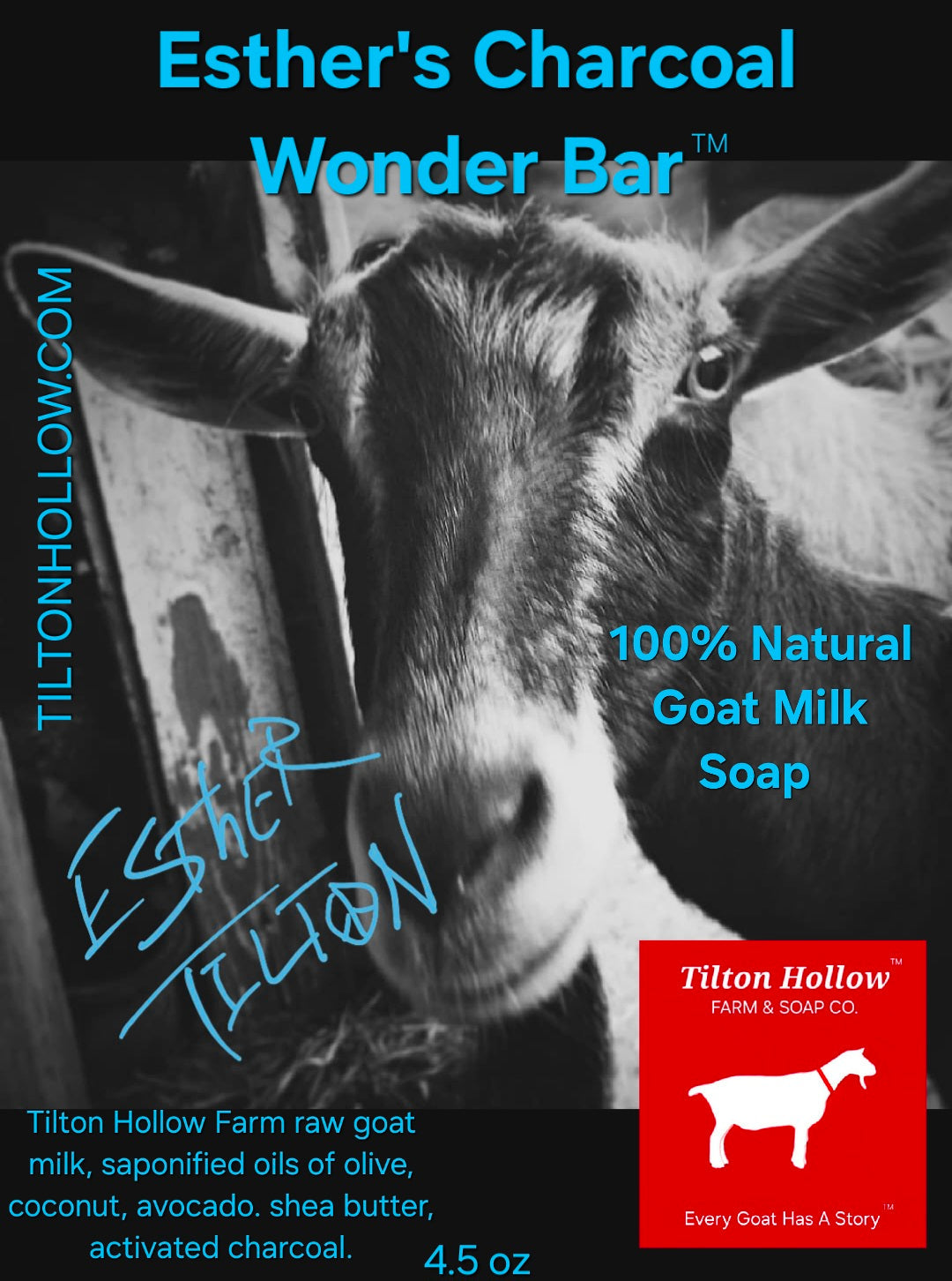 Esther's Charcoal Wonder Bar™️