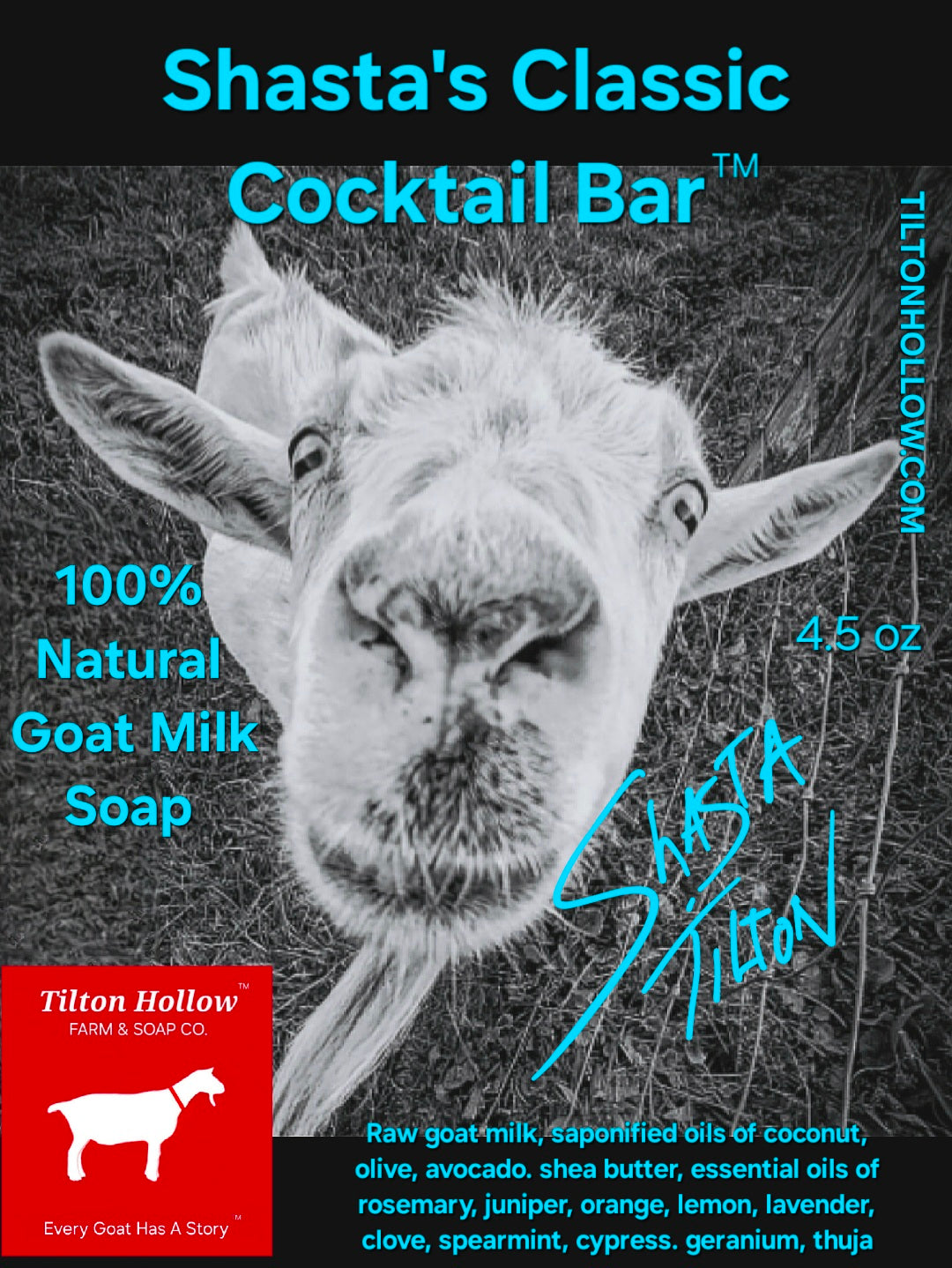 Shasta's Classic Cocktail Bar™️